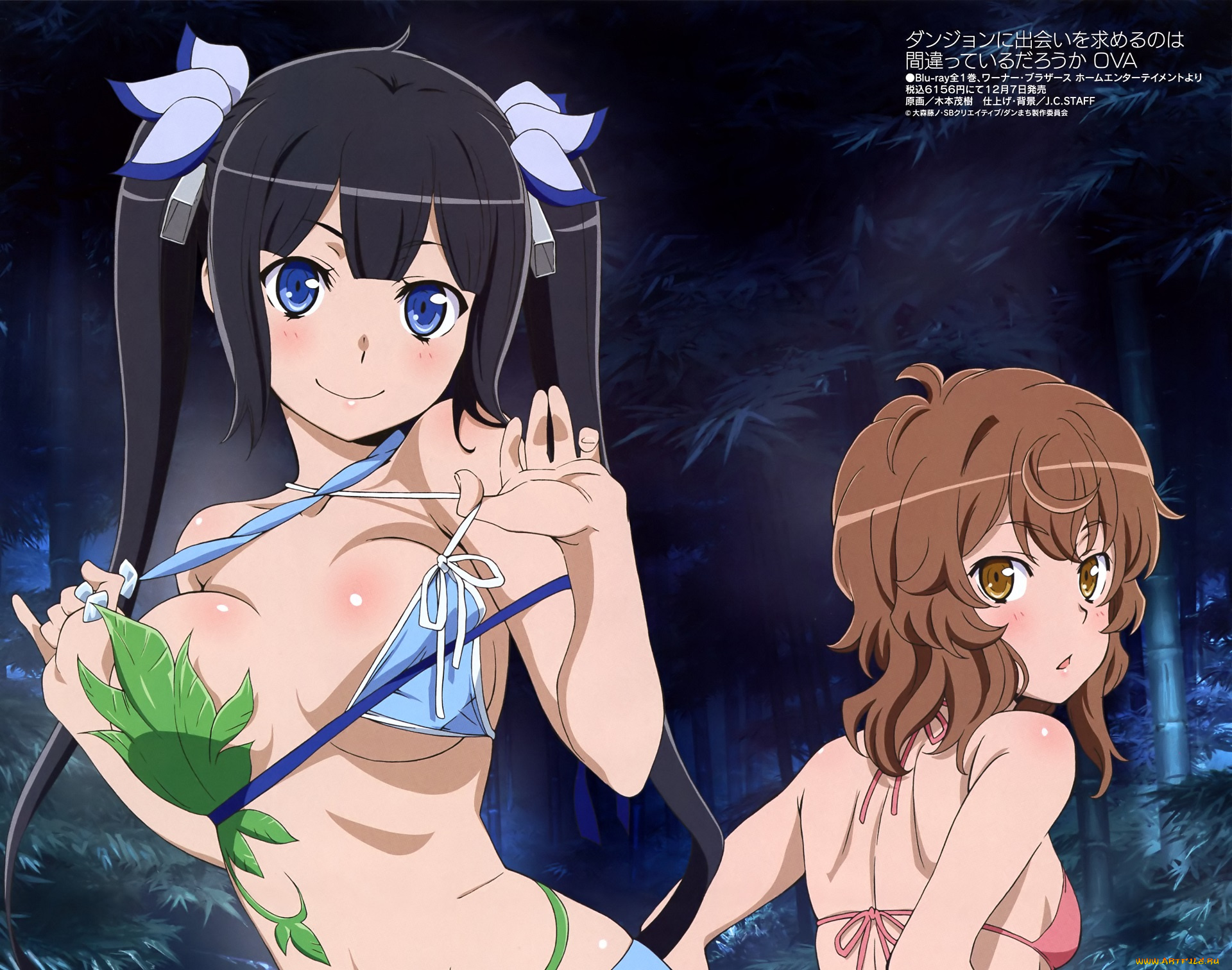 аниме, danmachi, девушки