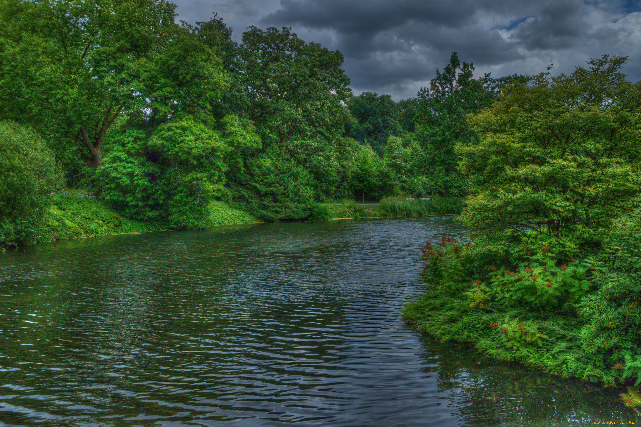 природа, реки, озера, простор