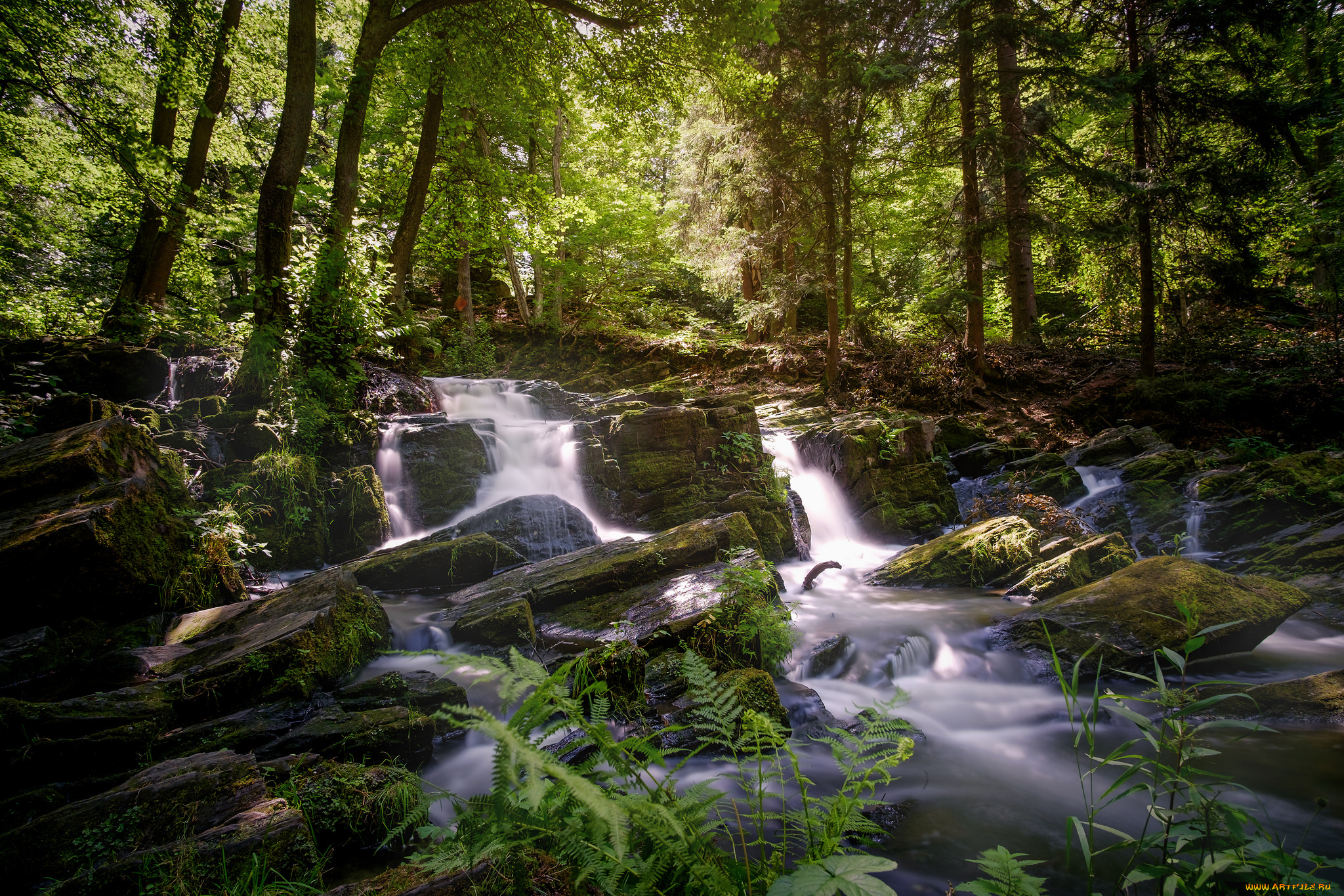 природа, реки, озера, простор