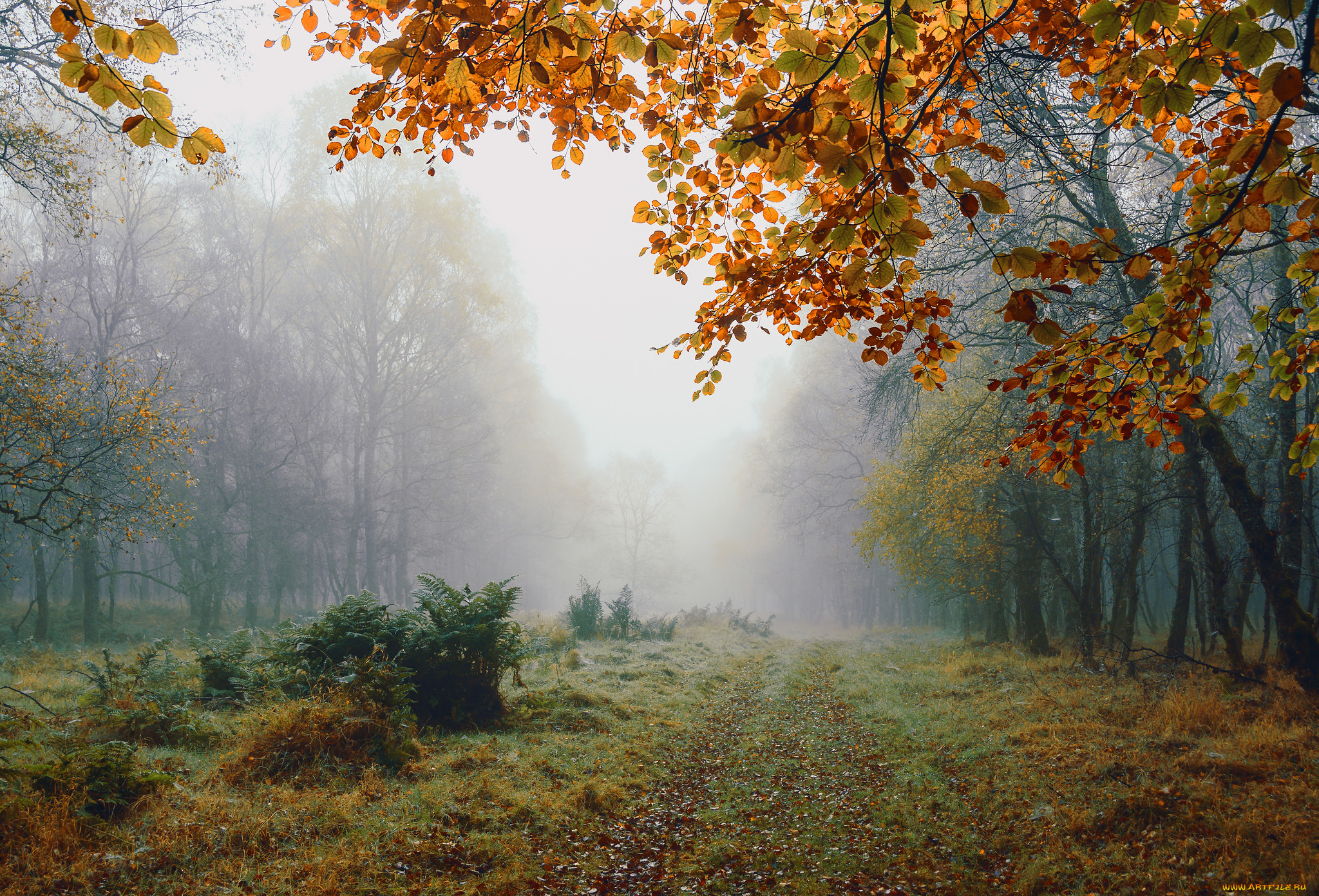 природа, дороги, простор