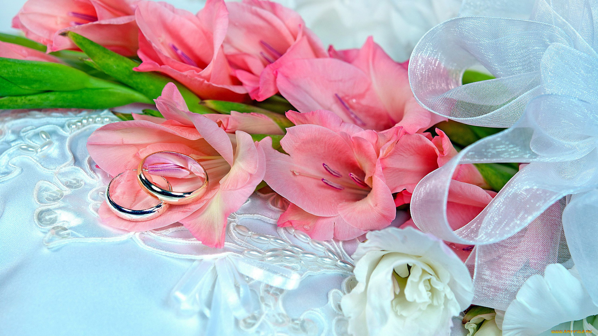 цветы, гладиолусы, букет