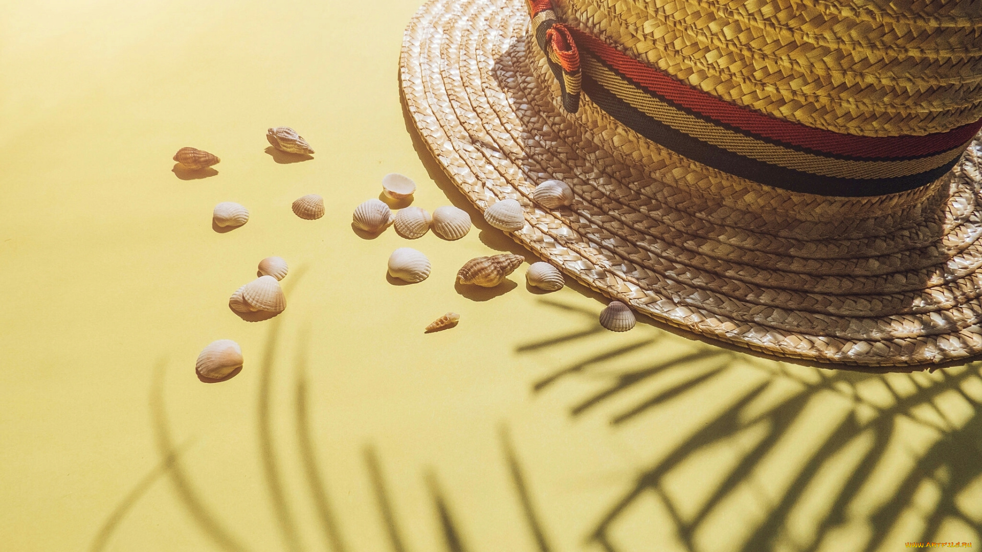 лето, разное, ракушки, , кораллы, , декоративные, и, spa-камни, песок, шляпа, пляж