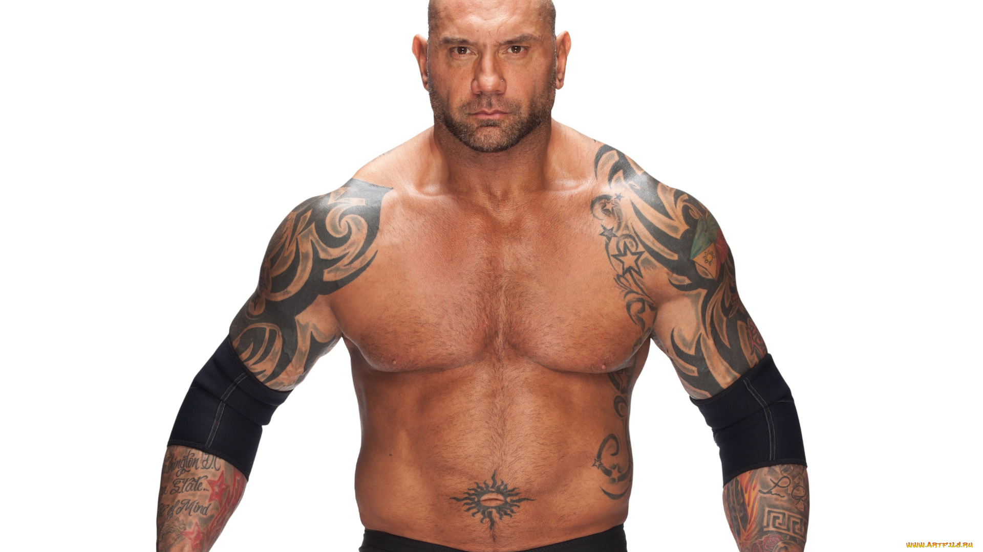 мужчины, -, unsort, торс, мышцы, dave, batista, актер, тату