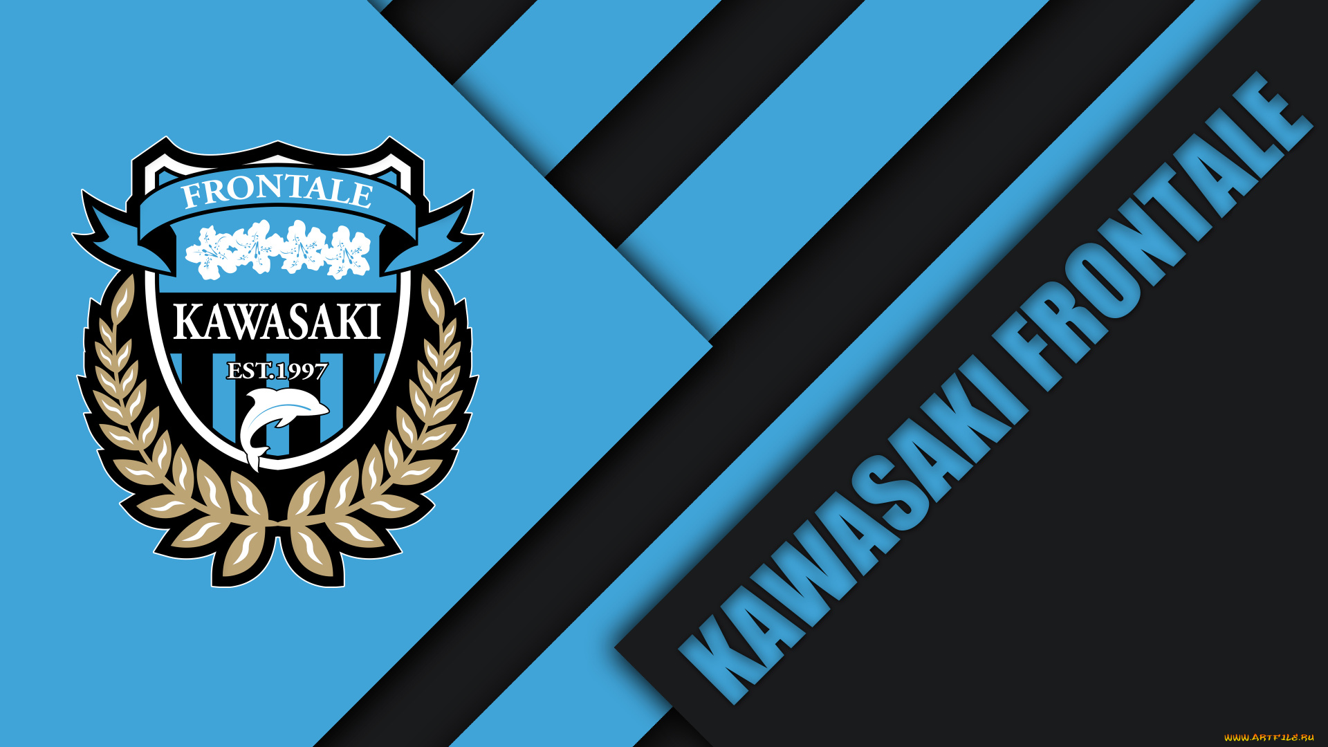 спорт, эмблемы, клубов, линии, цвет, полосы, фон, логотип