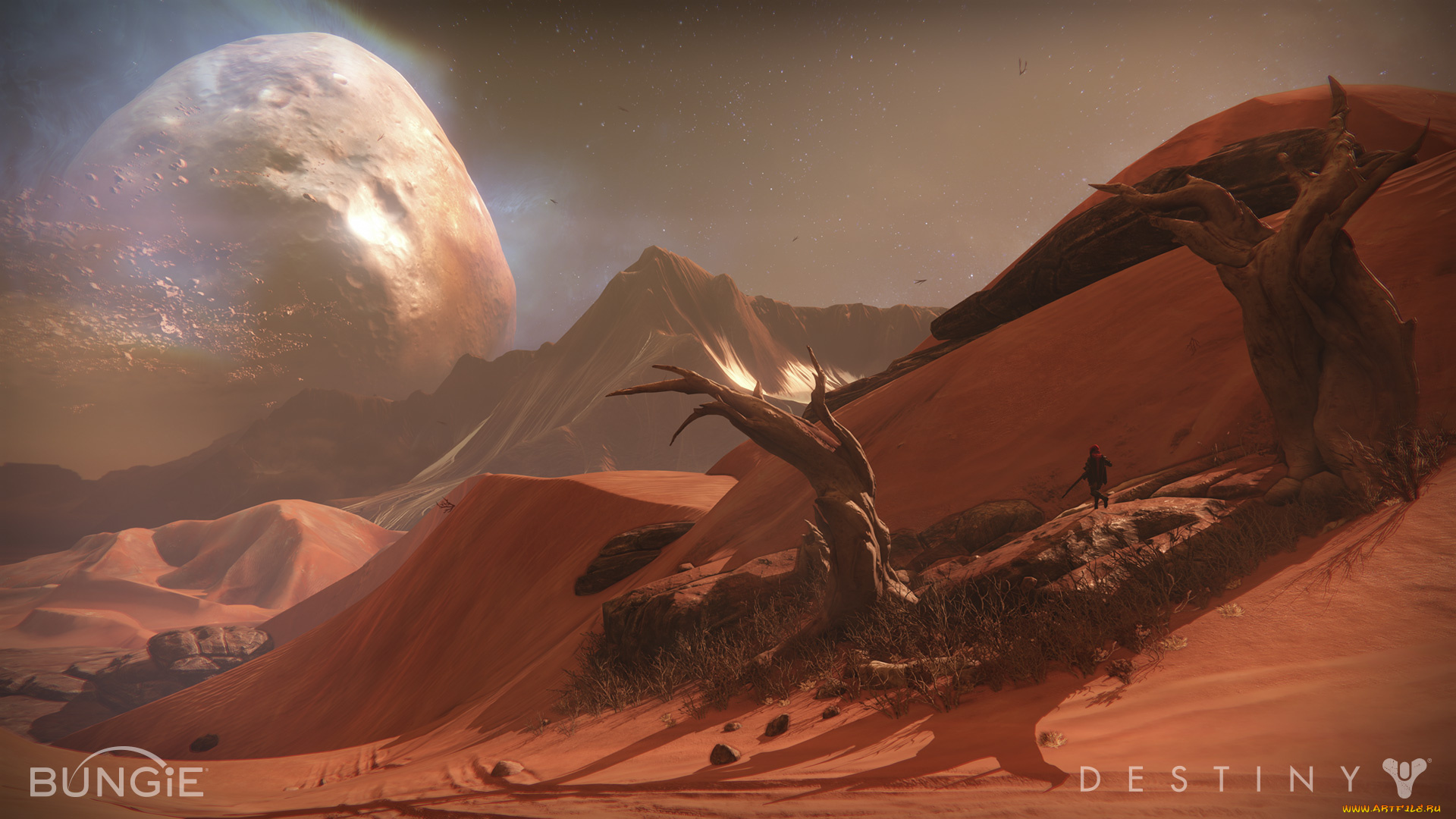 видео, игры, destiny