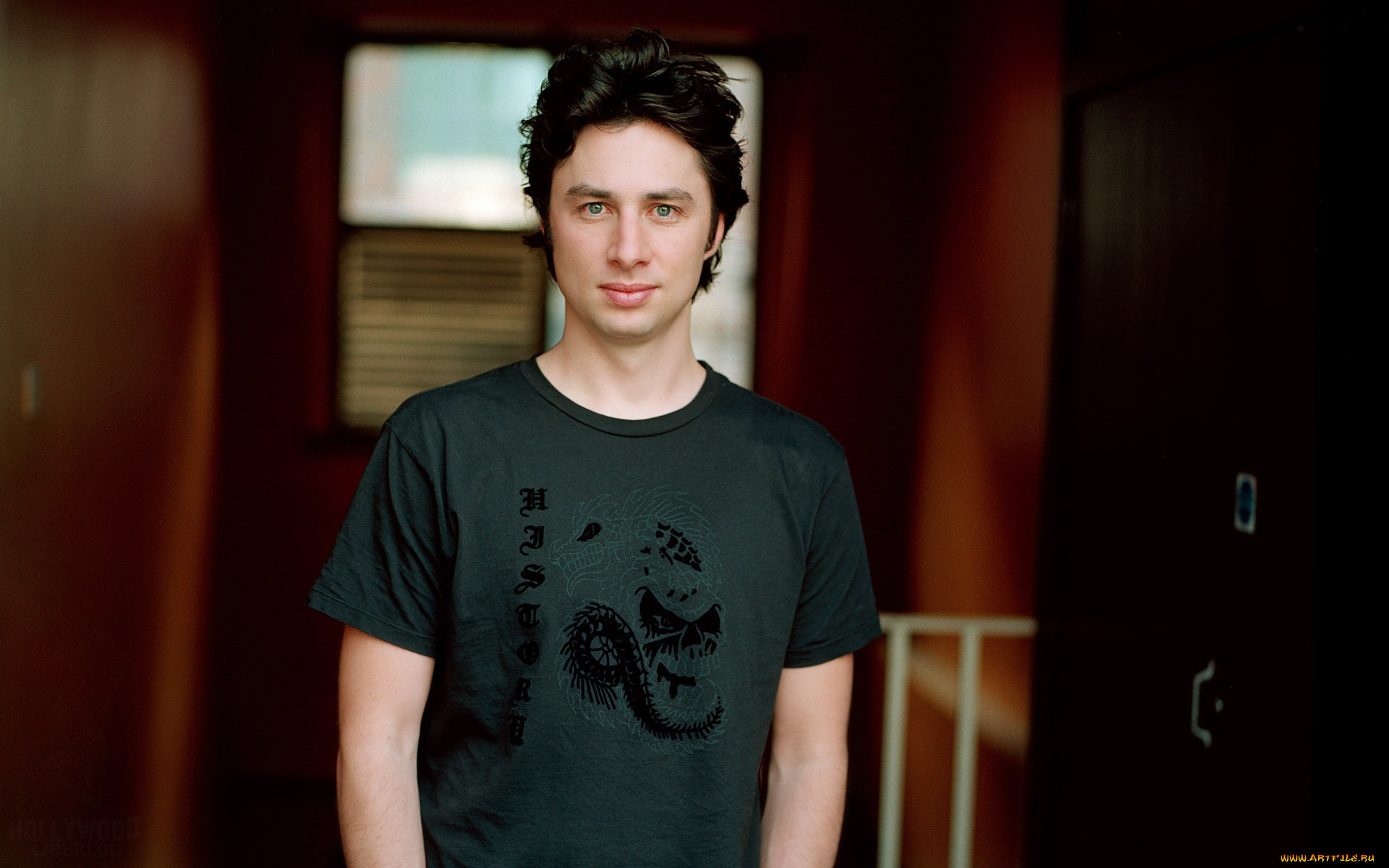 мужчины, zach, braff, футболка, zachary, israel, braff, актер