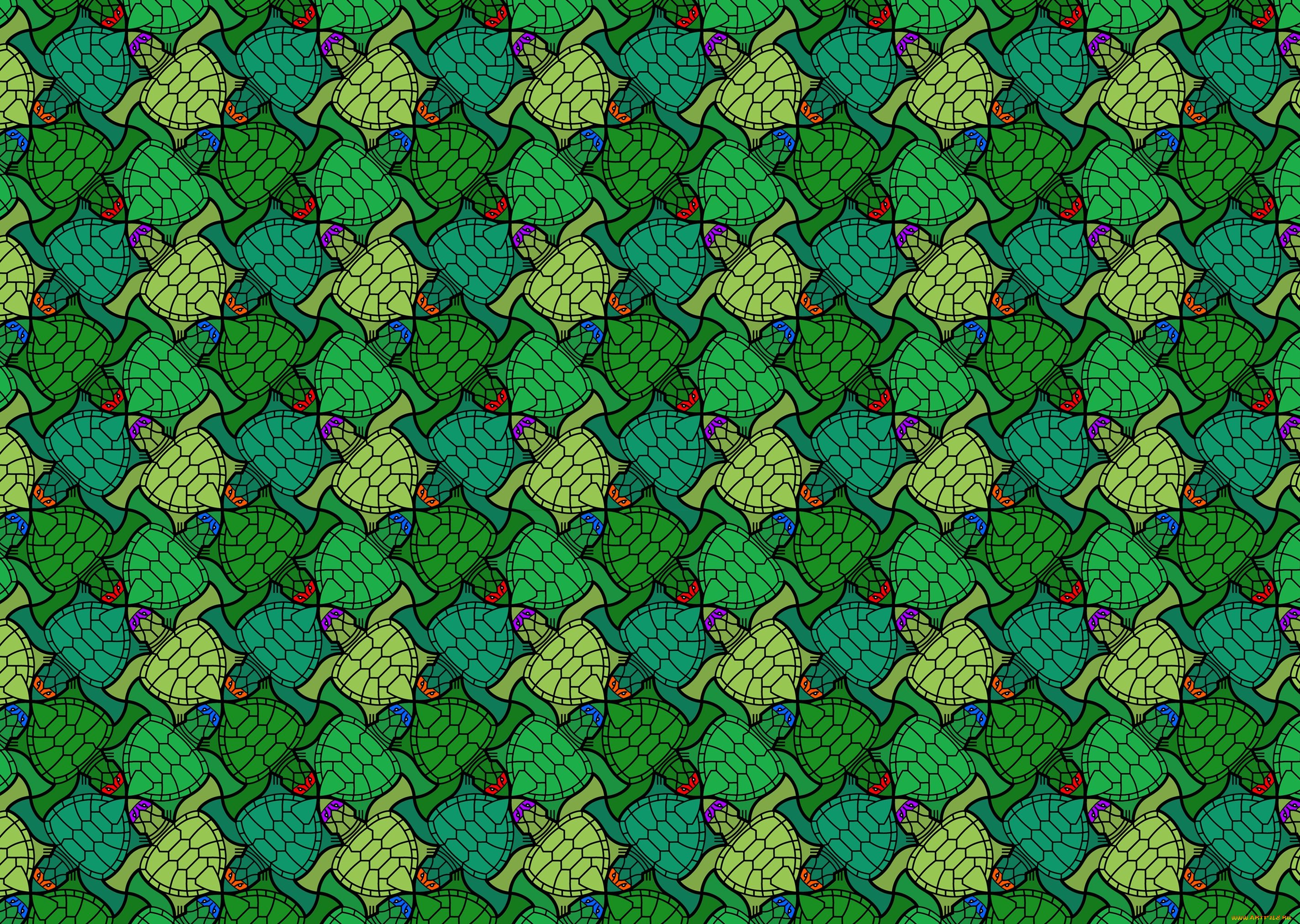 векторная, графика, животные, , animals, черепахи