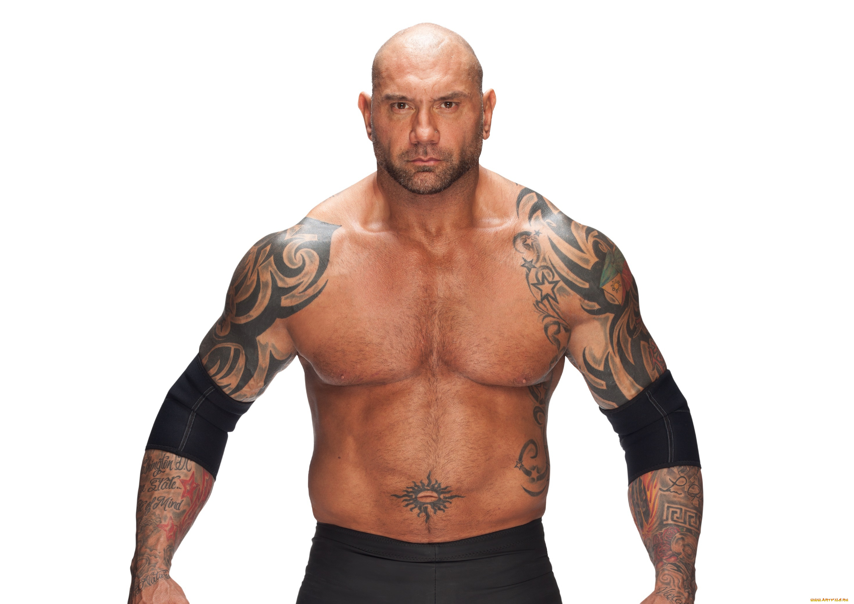 мужчины, -, unsort, торс, мышцы, dave, batista, актер, тату