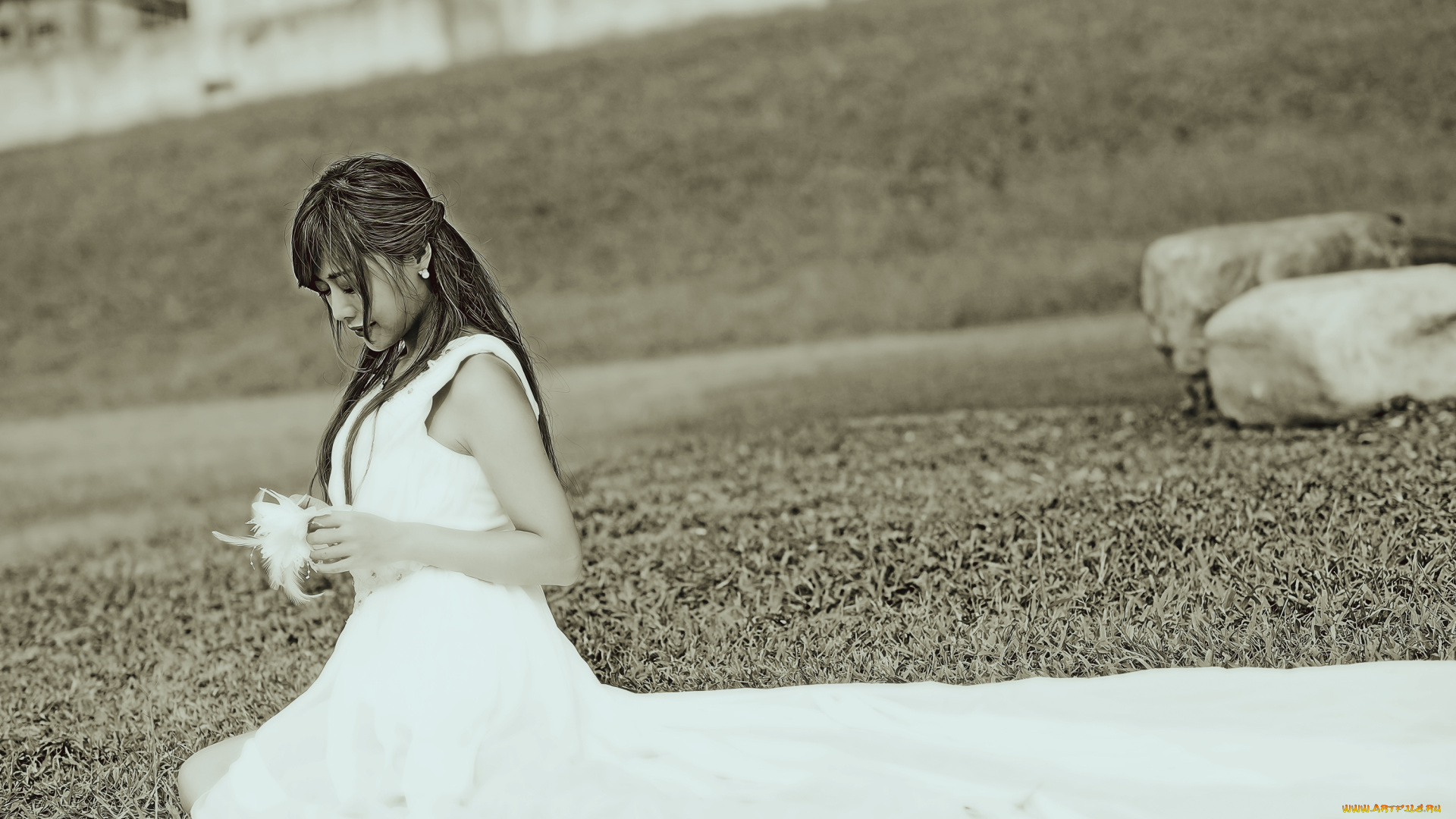 календари, компьютерный, дизайн, девушка, азиатка, невеста, женщина, calendar, 2019