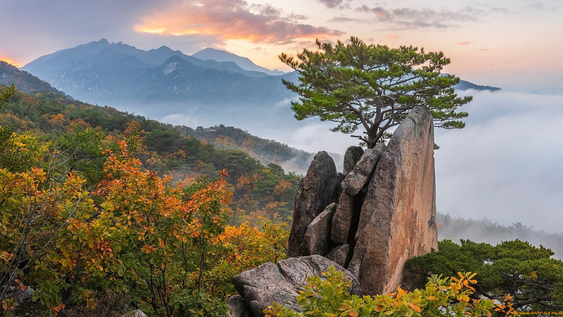 природа, горы, простор