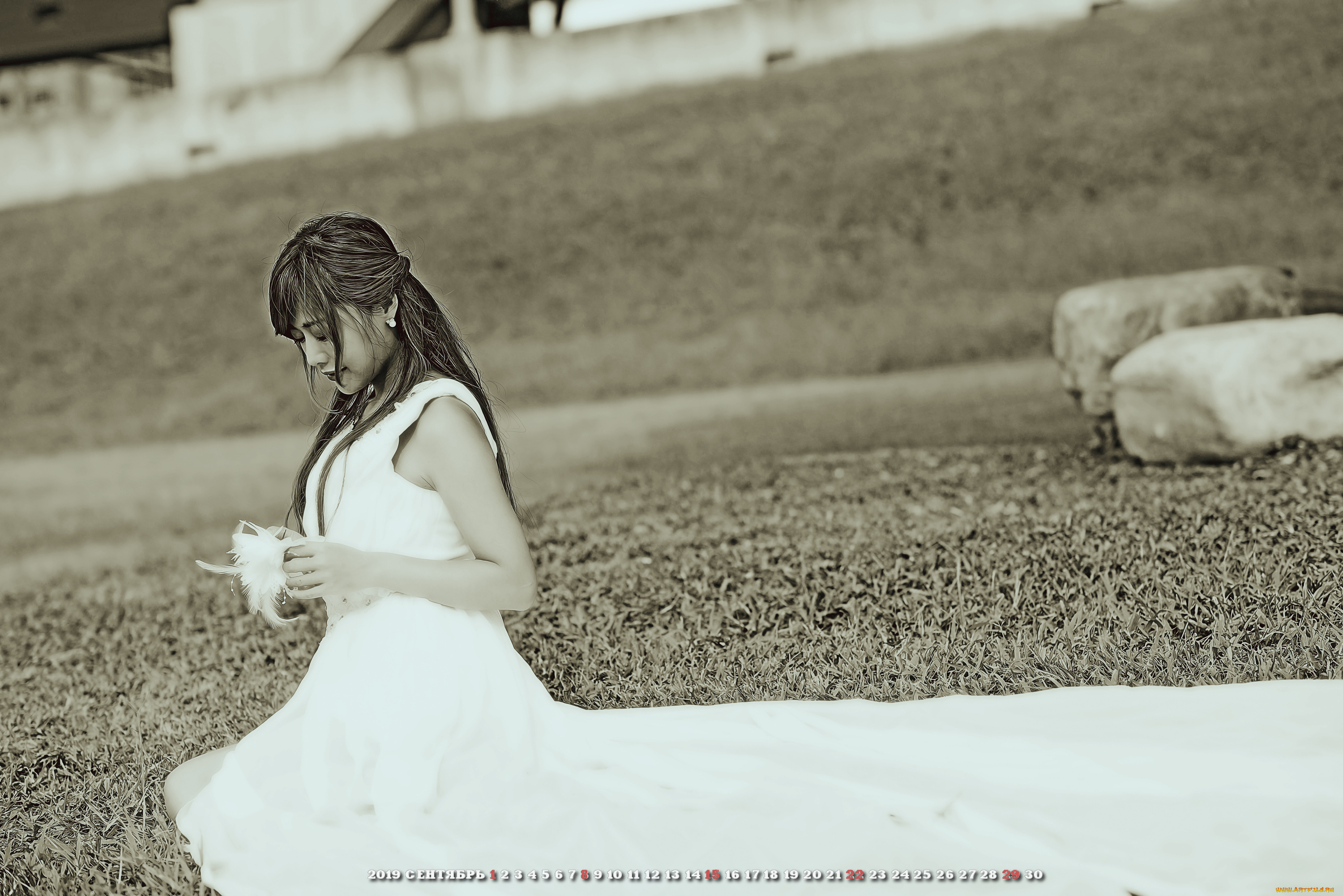 календари, компьютерный, дизайн, девушка, азиатка, невеста, женщина, calendar, 2019