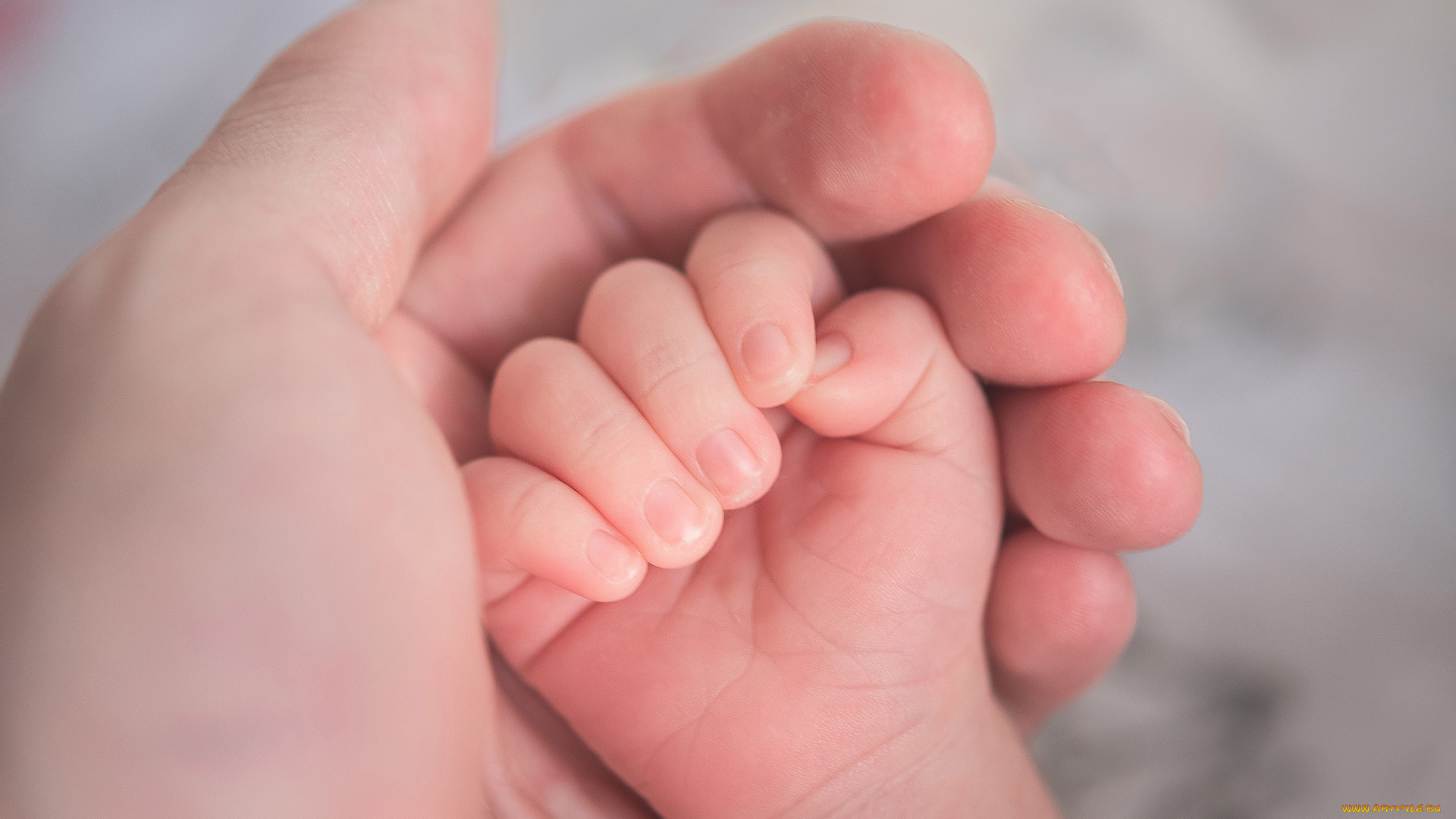 разное, руки, , ноги, нежность