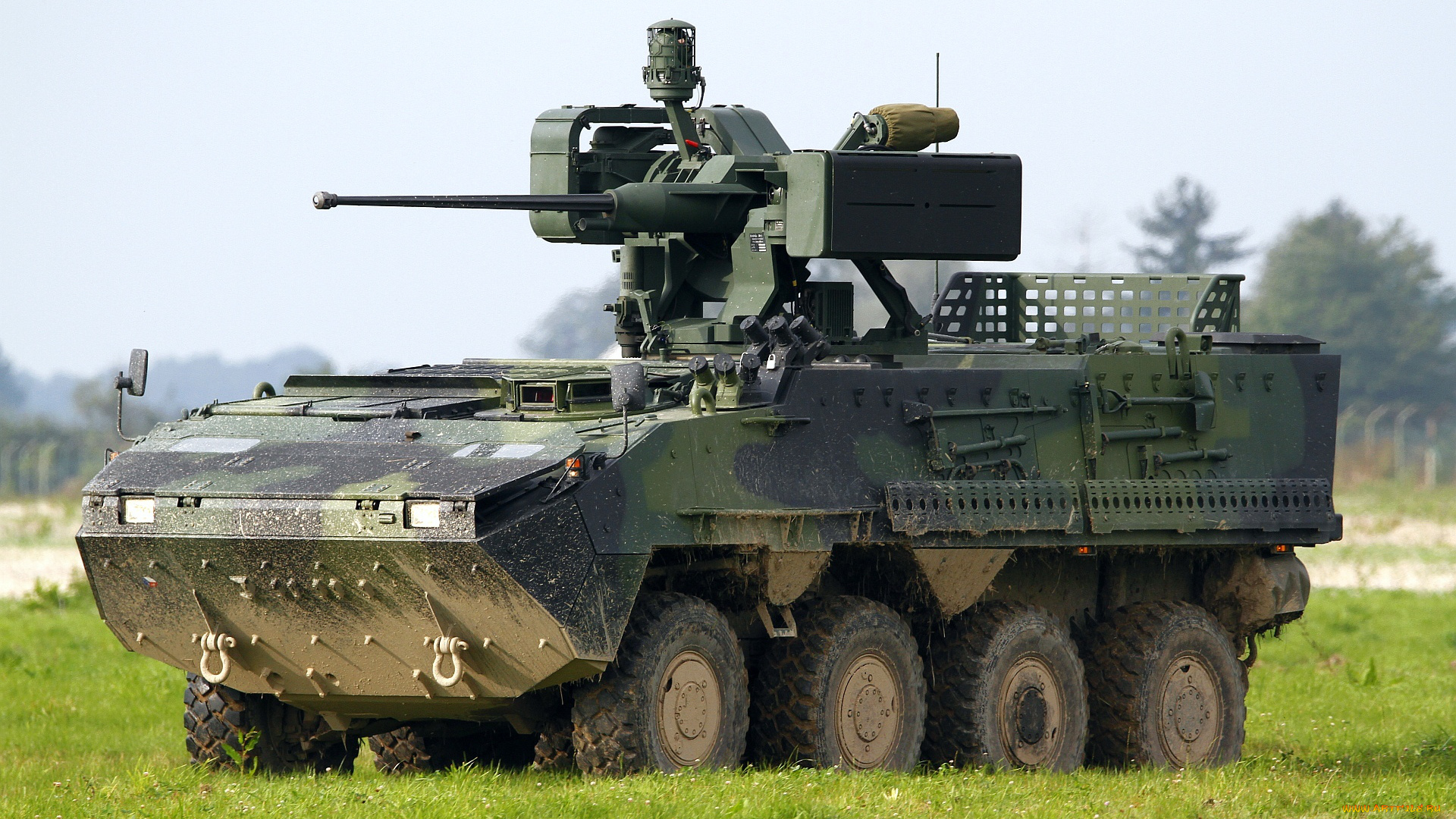 техника, военная, техника, pandur