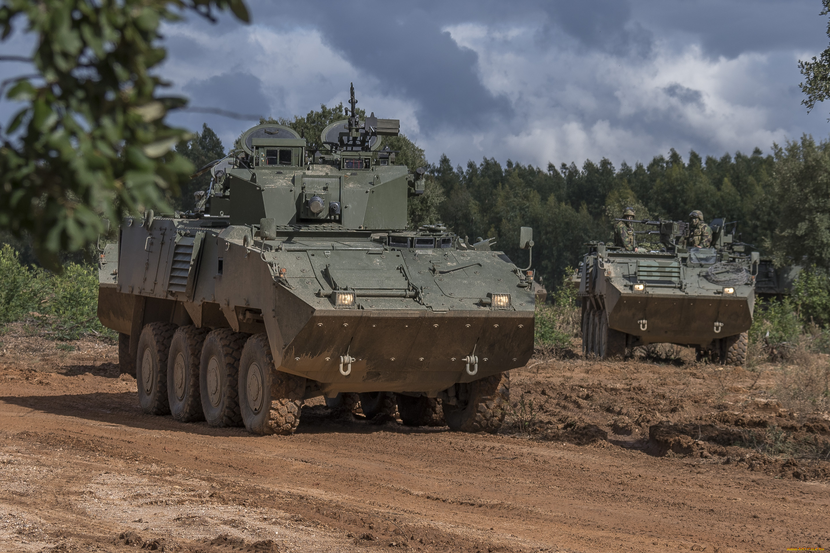 техника, военная, техника, pandur