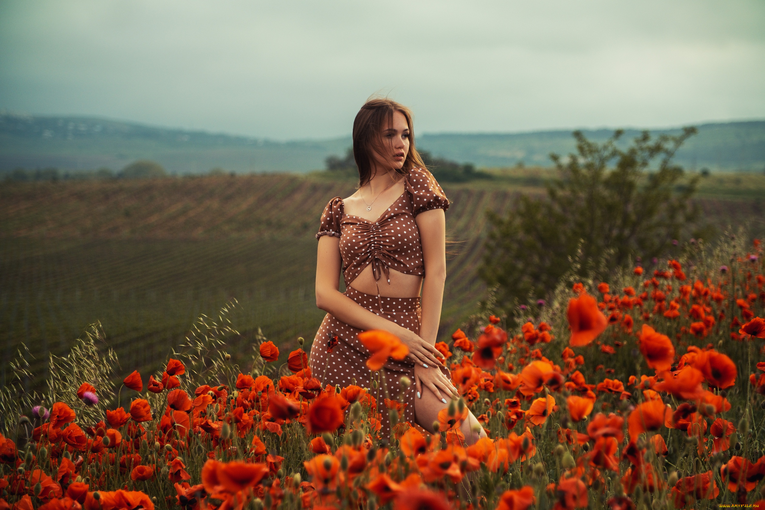 девушки, -, брюнетки, , шатенки, девушка, красивая, супер, секси, няша, нежная, классная, модница, лапочка, мадам