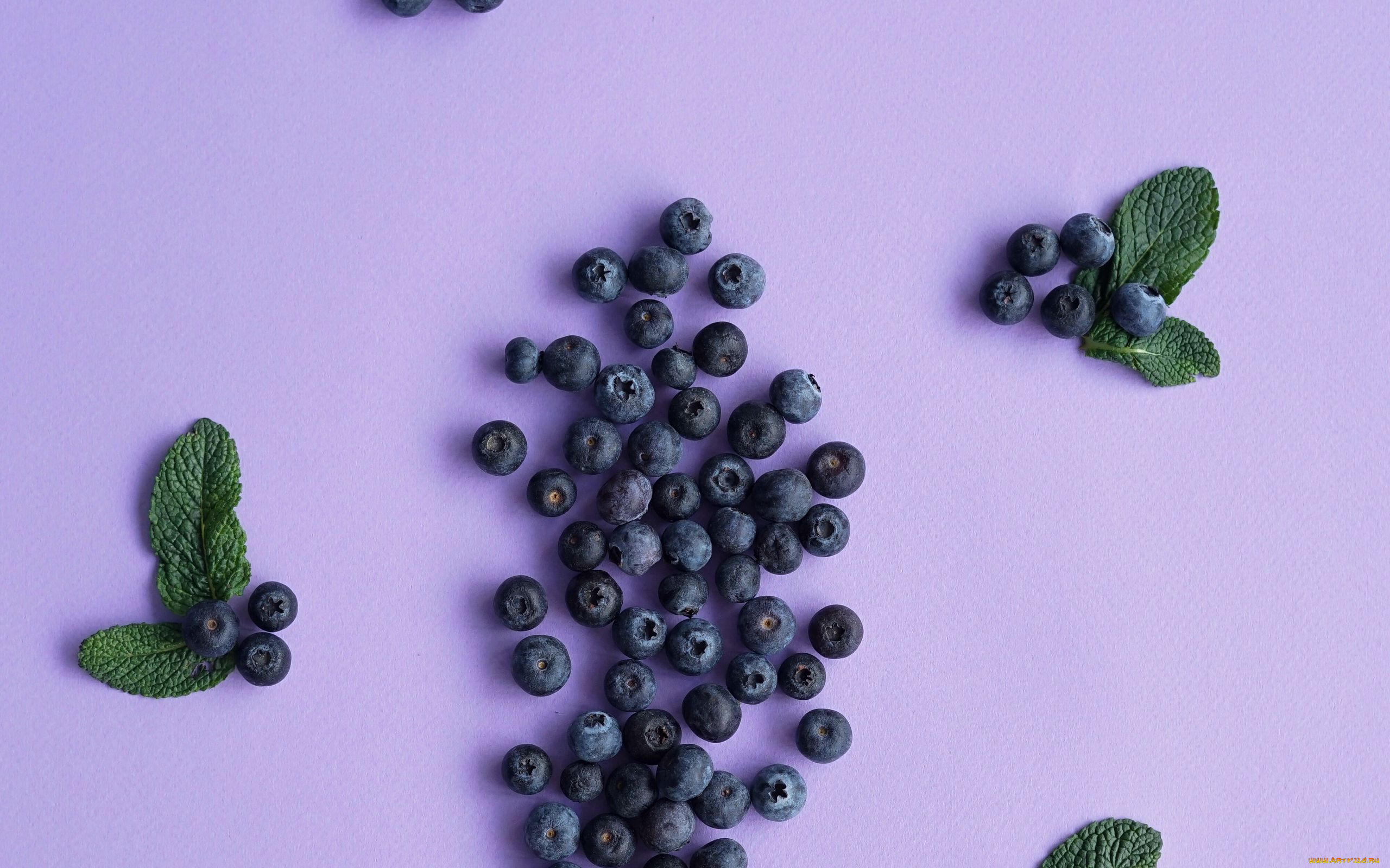 еда, голубика, , черника, черника