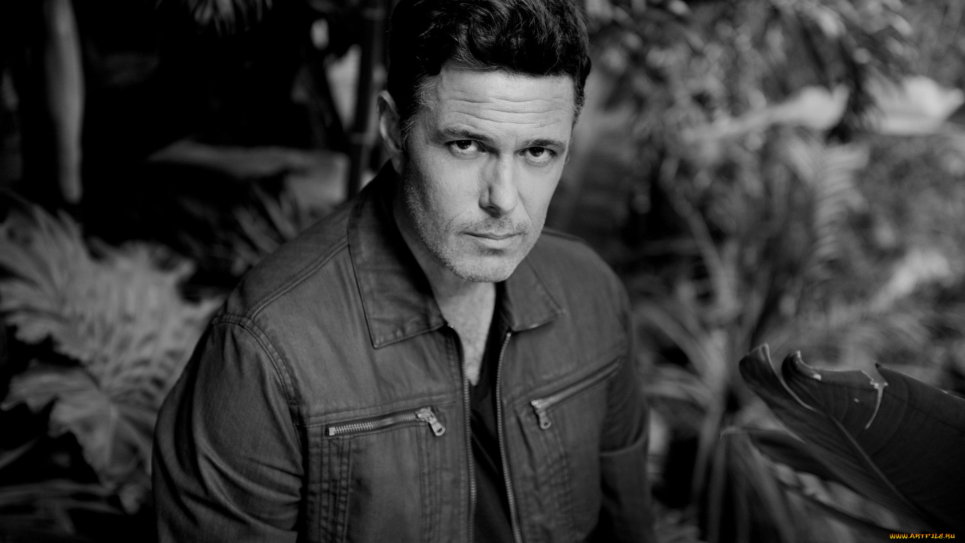 мужчины, carlos, bernard, carlos, bernard