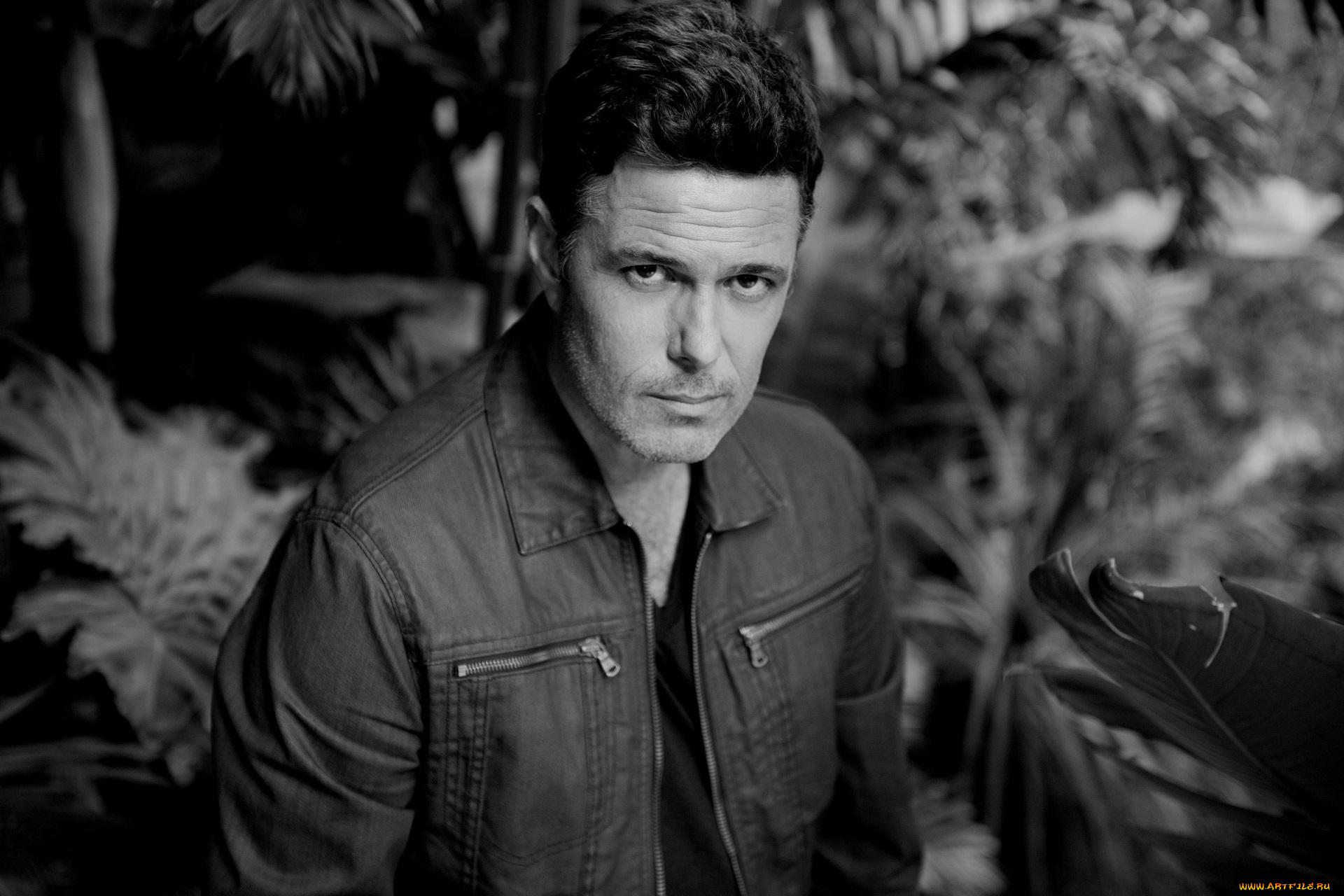 мужчины, carlos, bernard, carlos, bernard