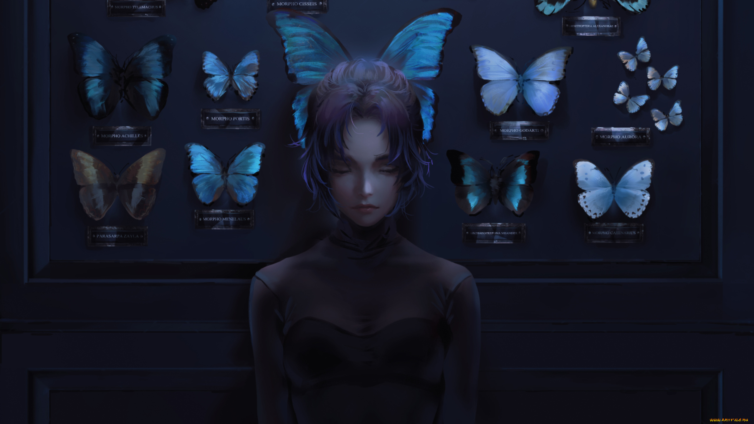 клинок, рассекающий, демонов, аниме, demon, slayer, , kimetsu, no, yaiba, demon, slayer, kimetsu, no, yaiba, девушка, взгляд, хашера, kochou, shinobu, бабочки