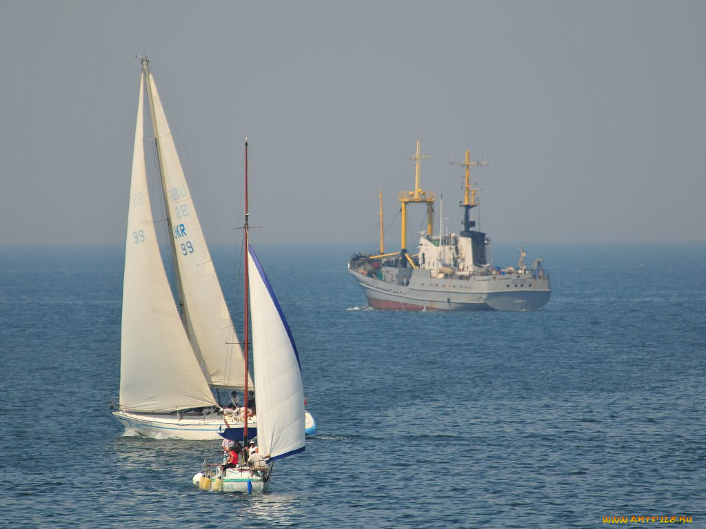 корабли, разные, вместе