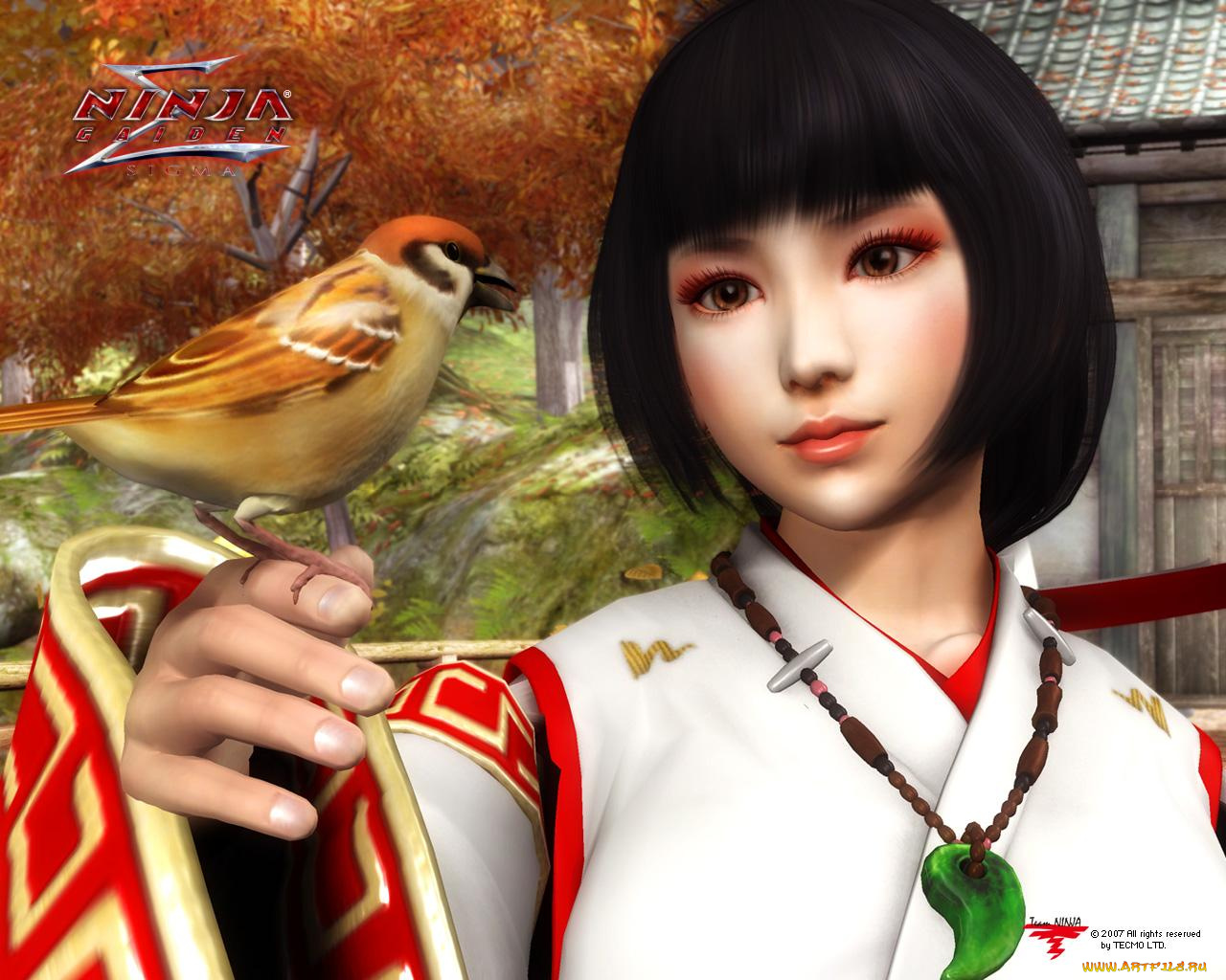 ninja, gaiden, sigma, видео, игры