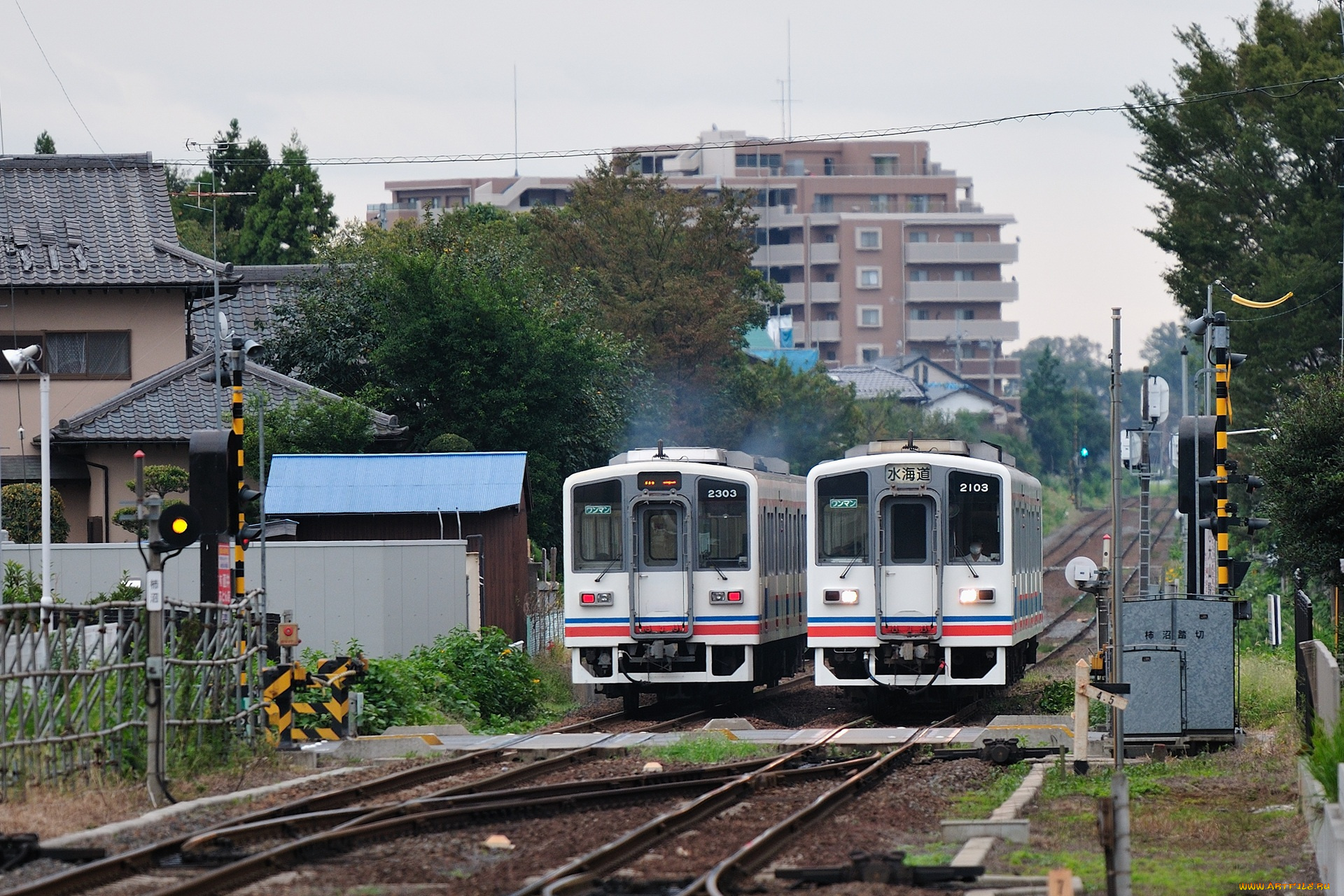 техника, вагоны, рельсы