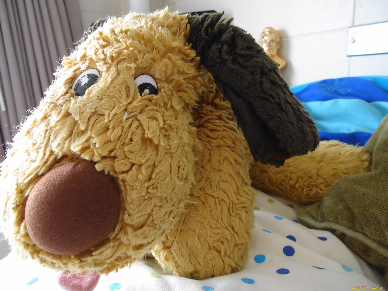 разное, игрушки, собачка