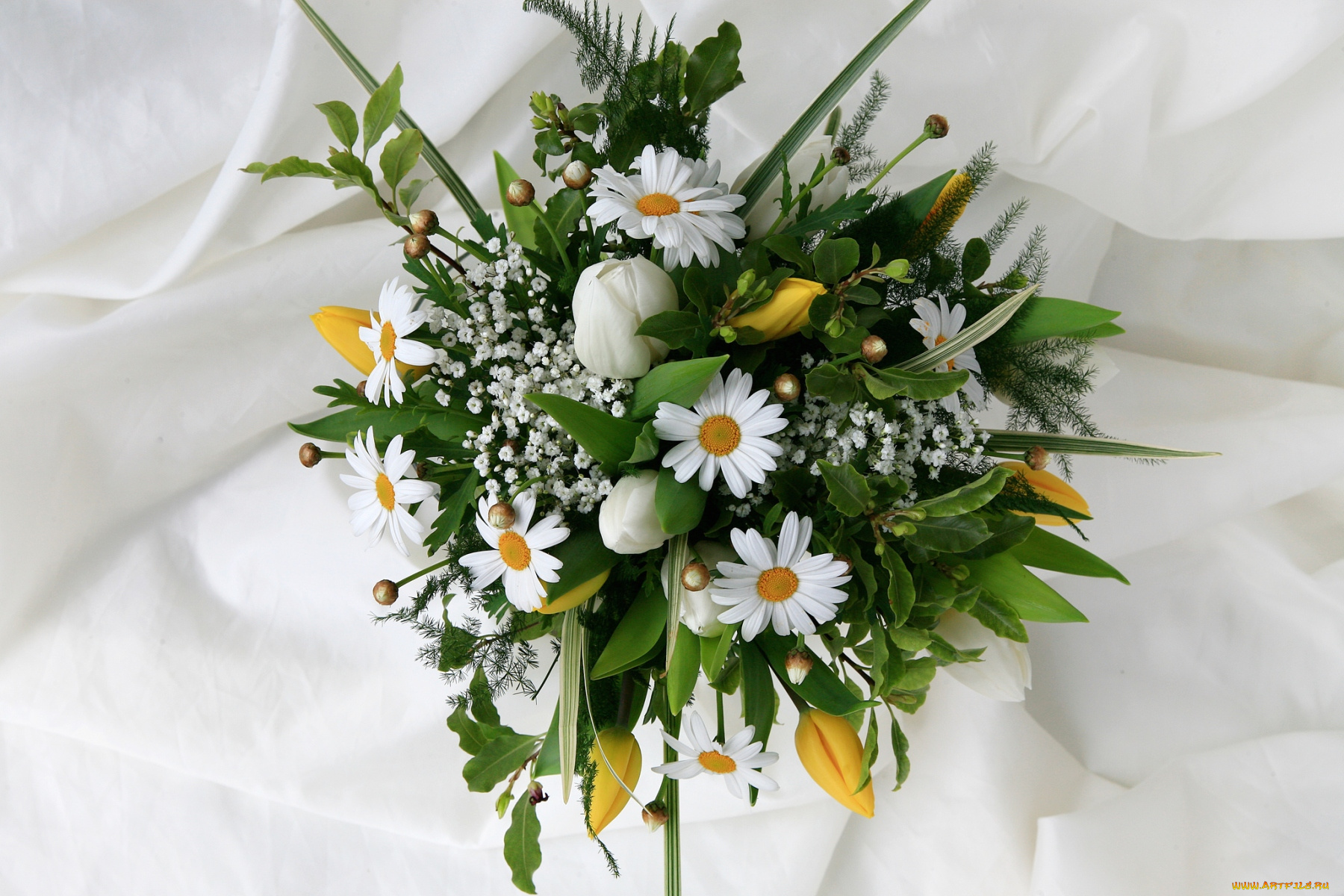 цветы, букеты, композиции, тюльпаны, ромашки, гипсофила
