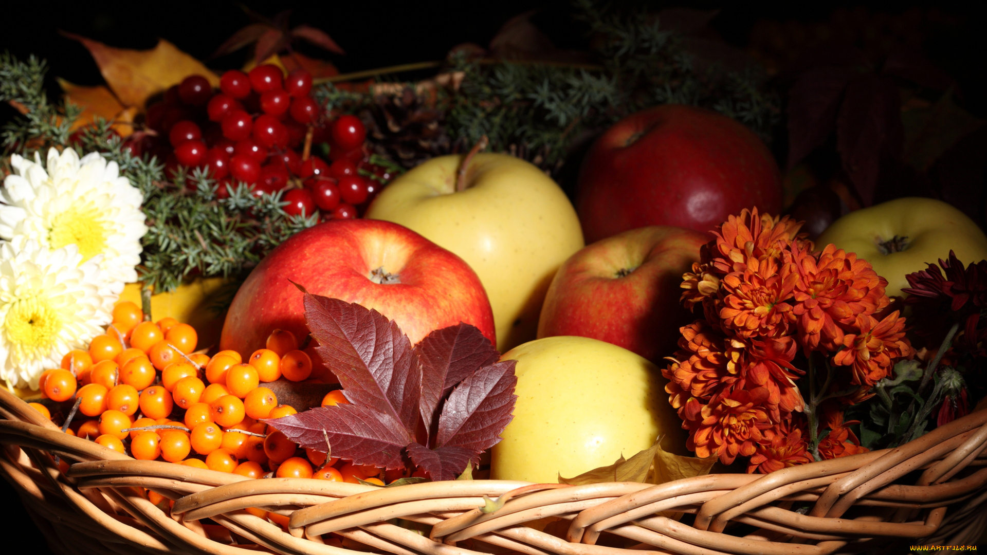 еда, фрукты, ягоды, яблоки, рябина