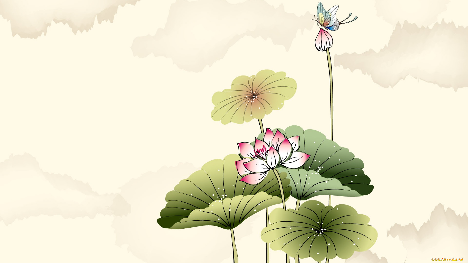 рисованные, цветы, бабочки