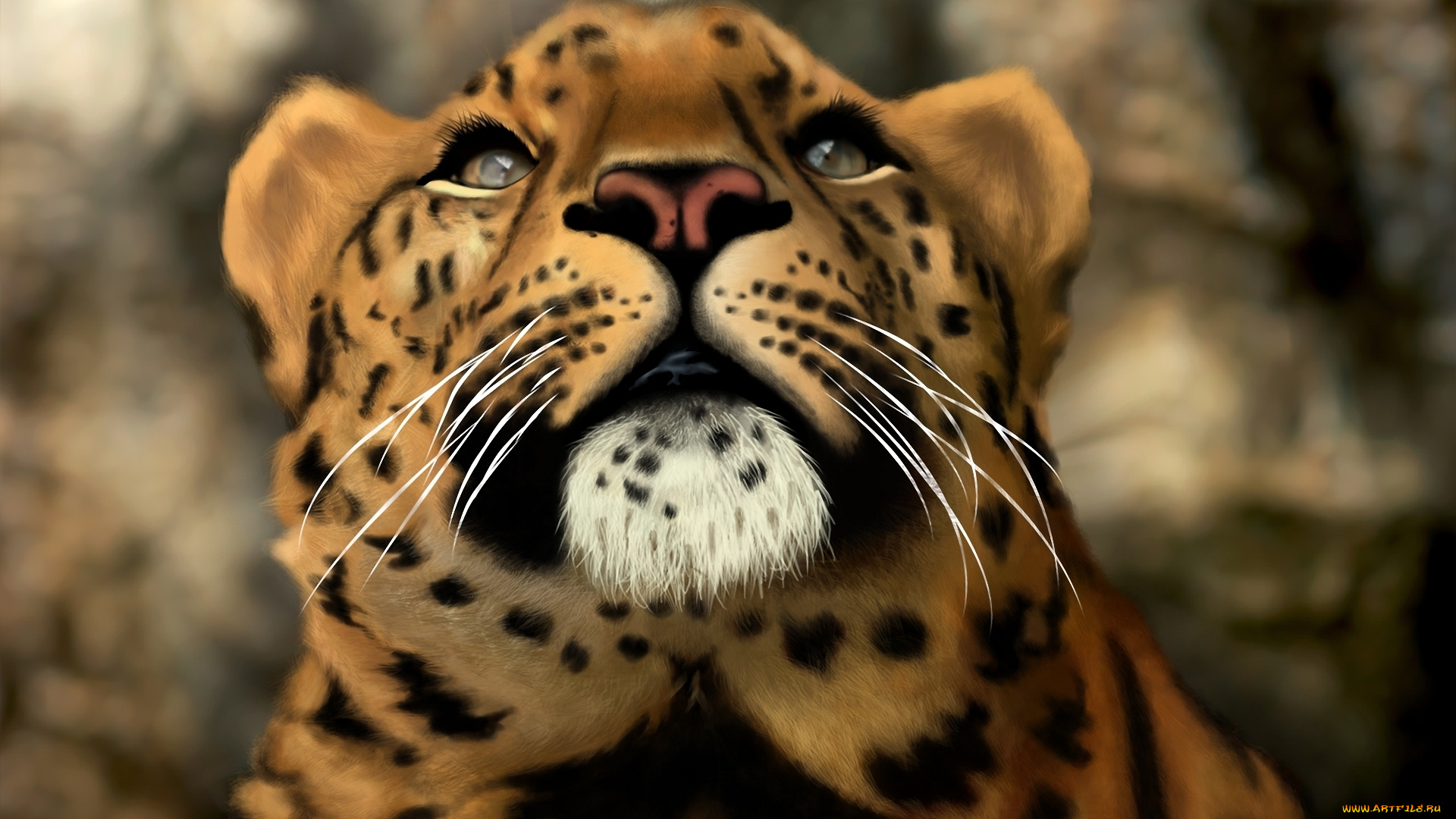 рисованные, животные, тигры, морда, голова, хищник, кошка, дикая, леопард