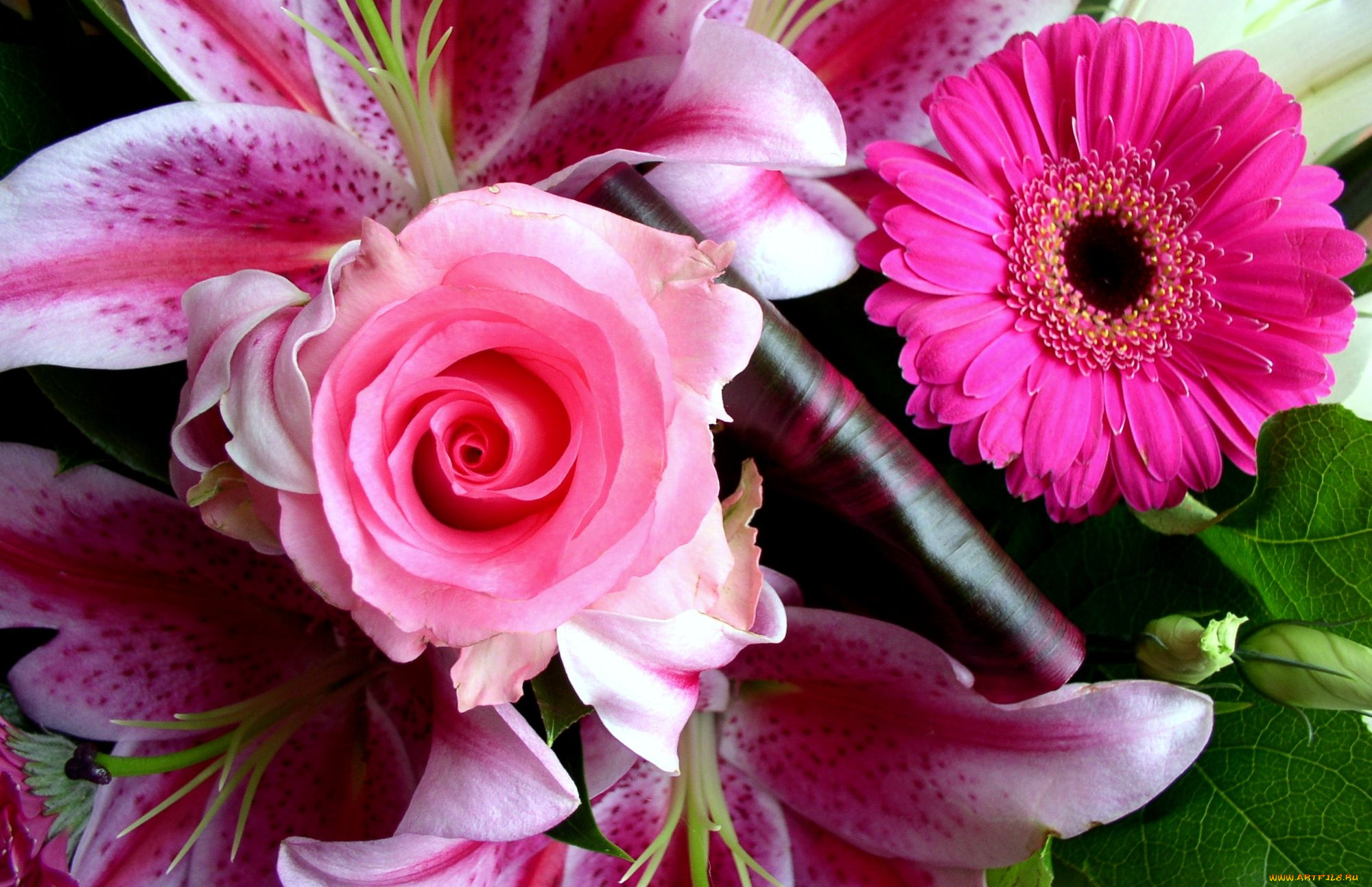 цветы, разные, вместе, гербера, роза, лилия