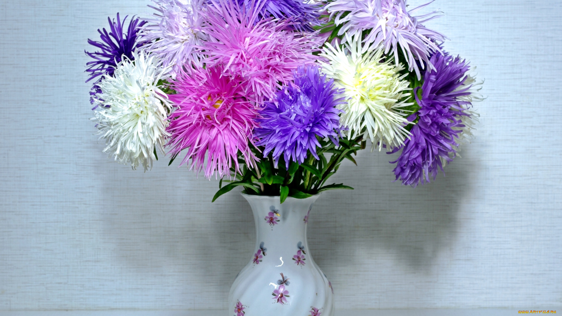 цветы, астры, букет