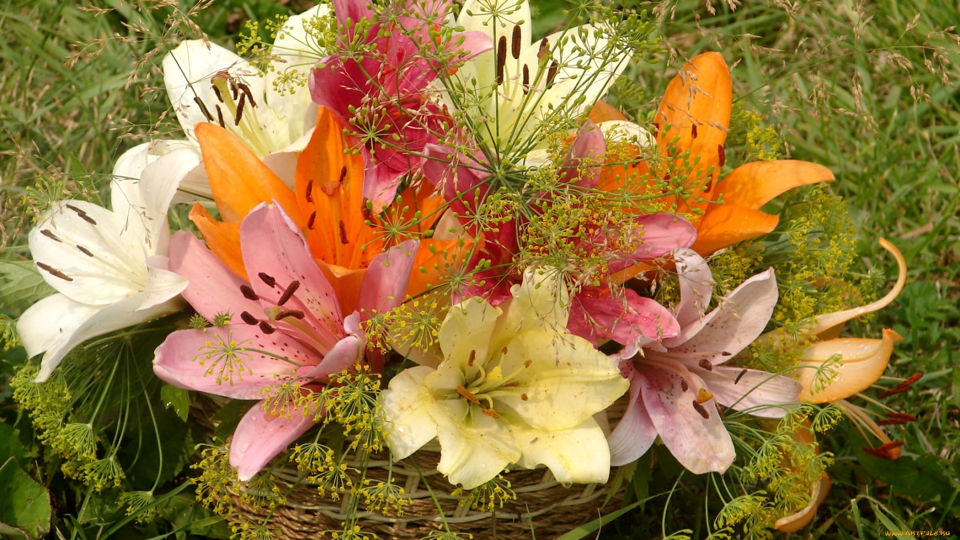 цветы, лилии, лилейники, букет