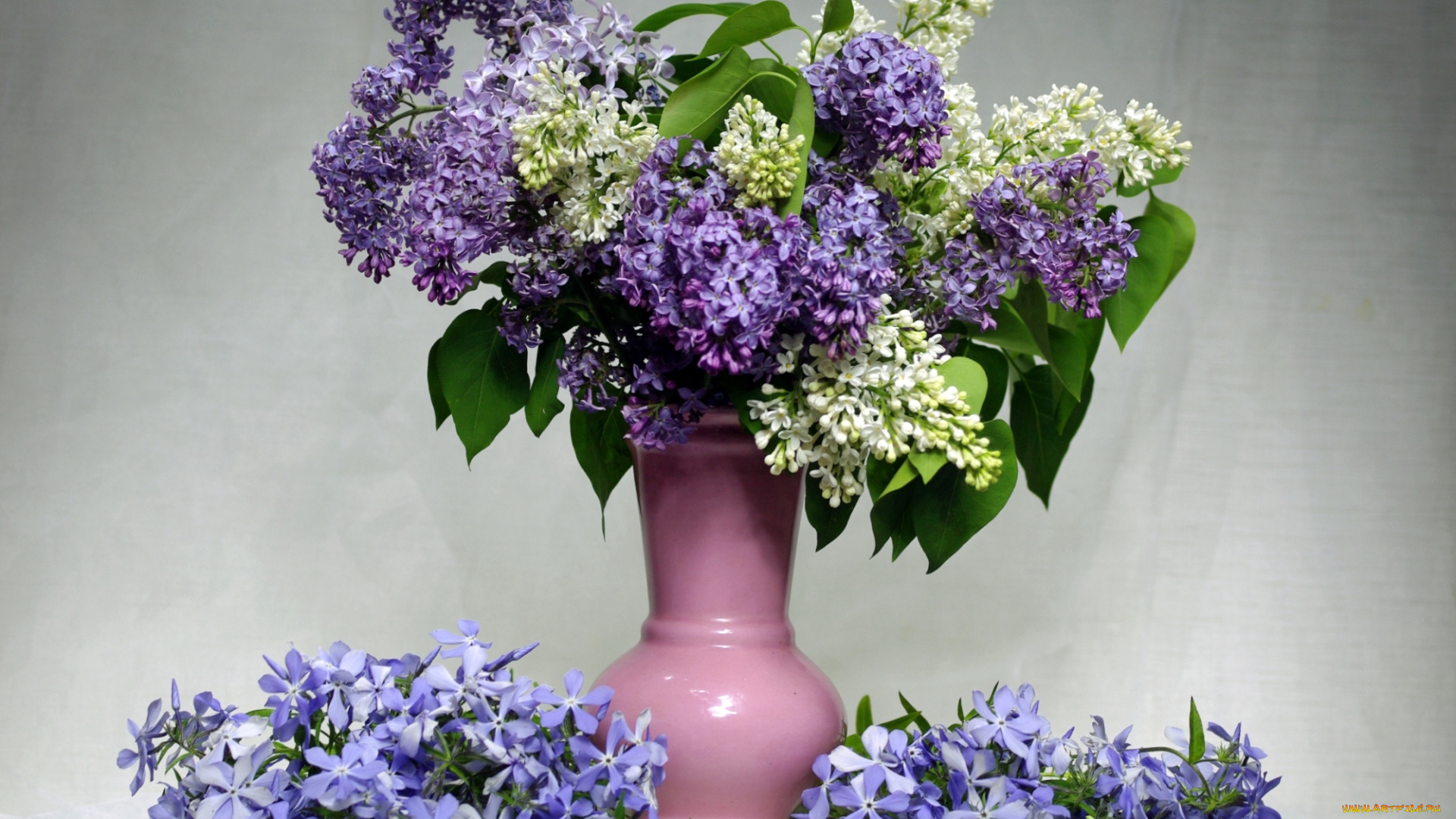 цветы, разные, вместе, сирень, флоксы