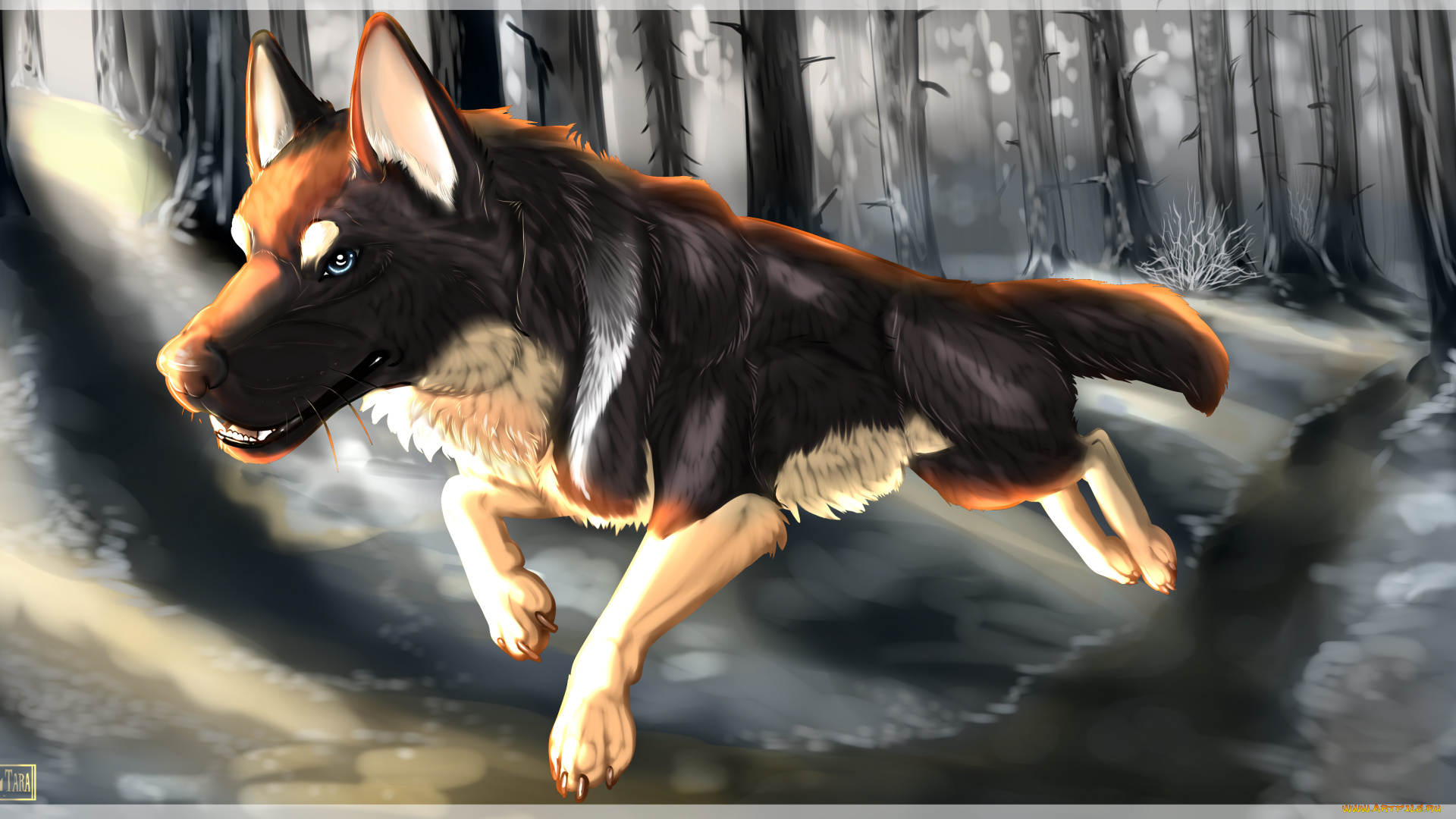 рисованные, животные, собаки, собака, лес