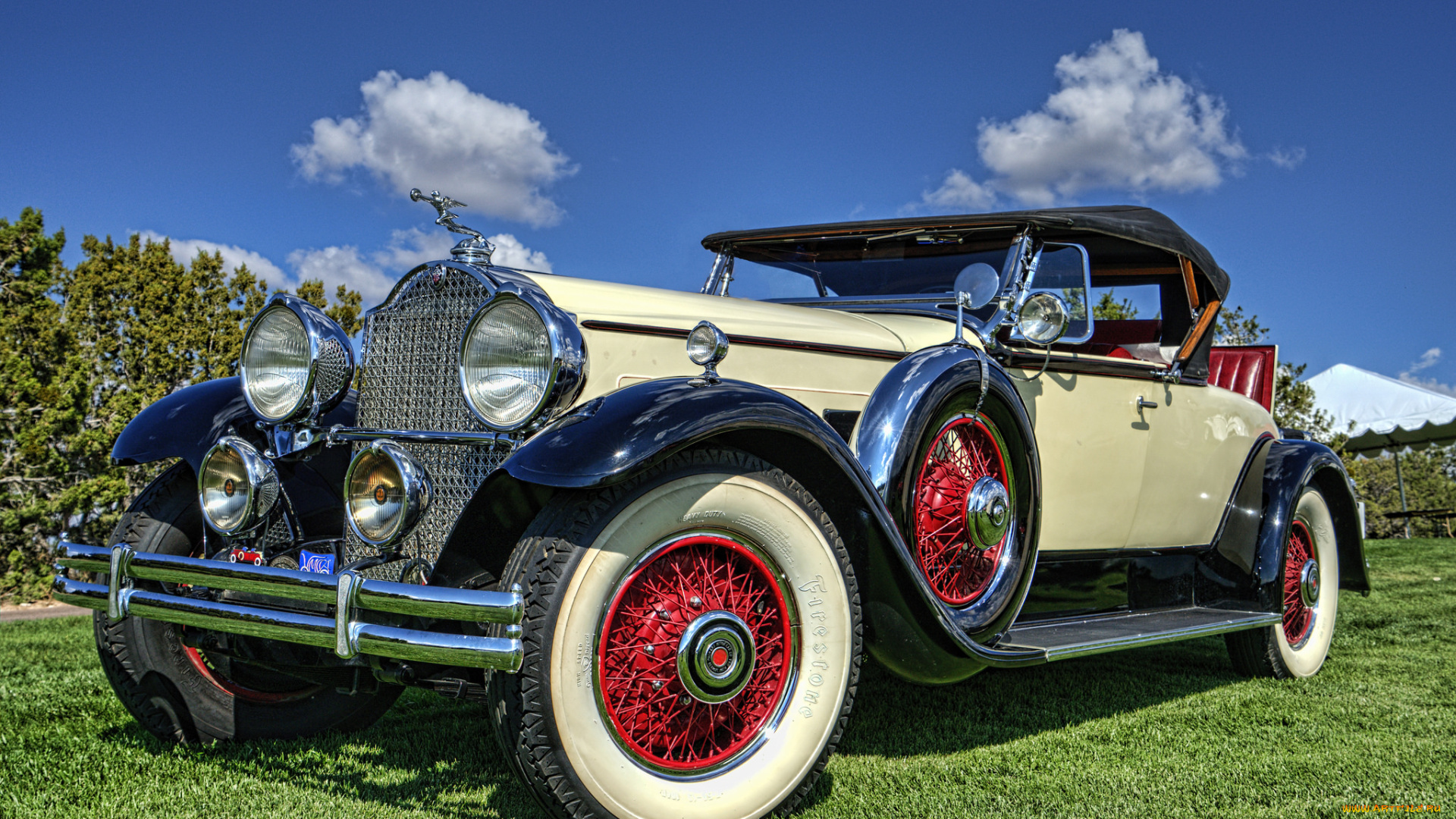 1930, packard, 740, roadster, автомобили, выставки, и, уличные, фото, выставка, автошоу