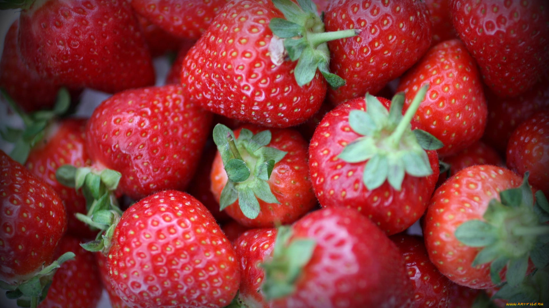 еда, клубника, , земляника, много, красный, ягоды