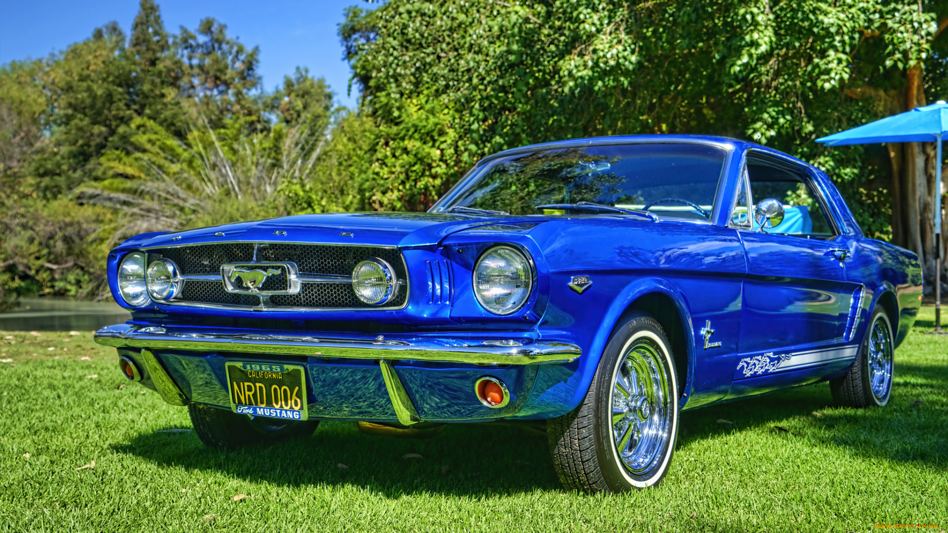 mustangs, автомобили, выставки, и, уличные, фото, выставка, автошоу