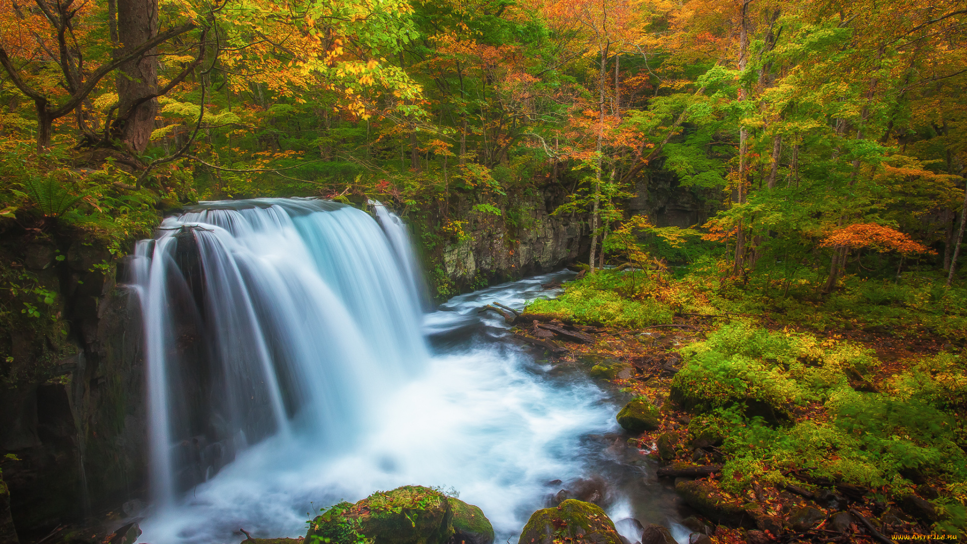 природа, водопады, водопад, река, лес