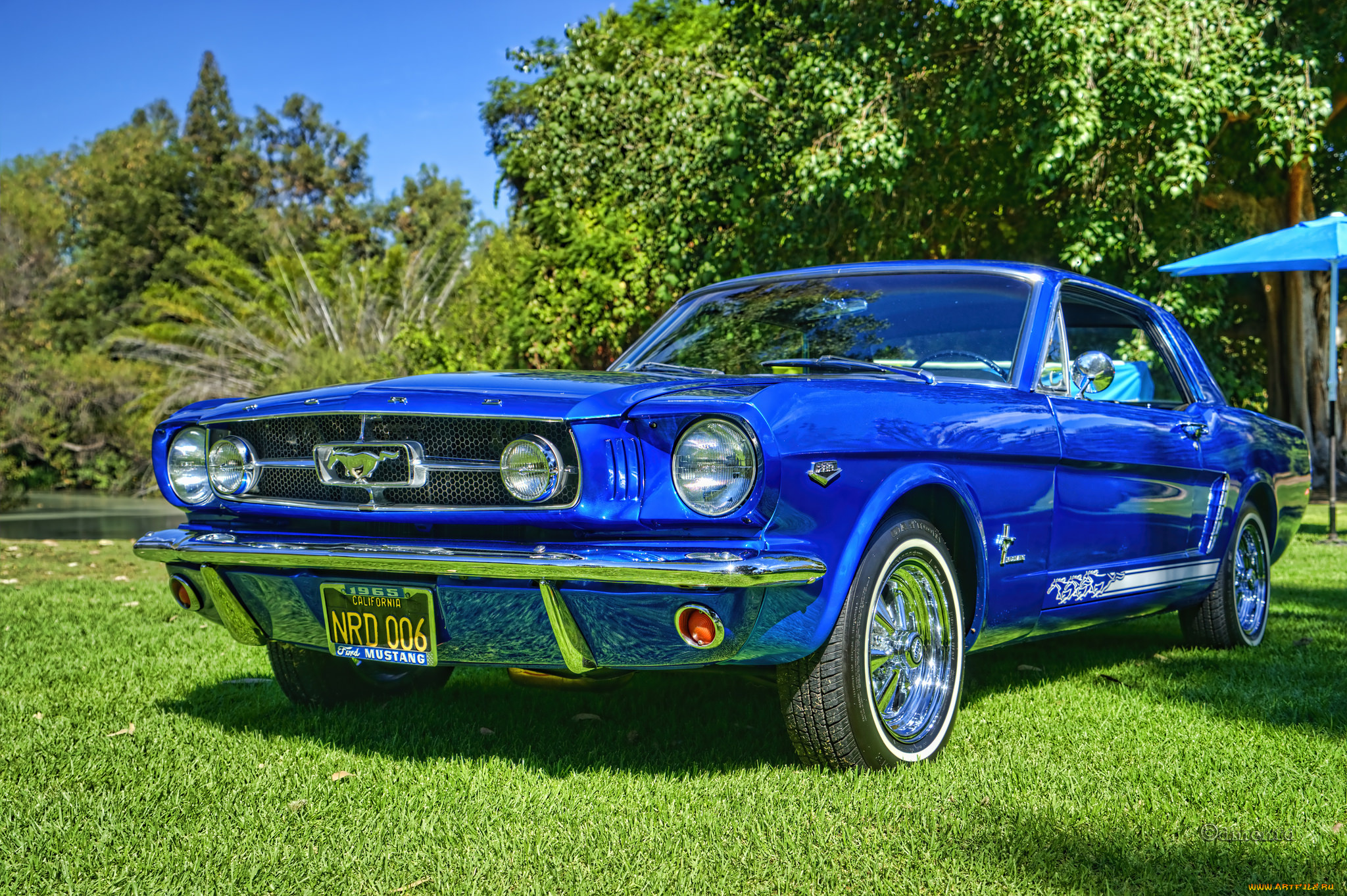 mustangs, автомобили, выставки, и, уличные, фото, выставка, автошоу