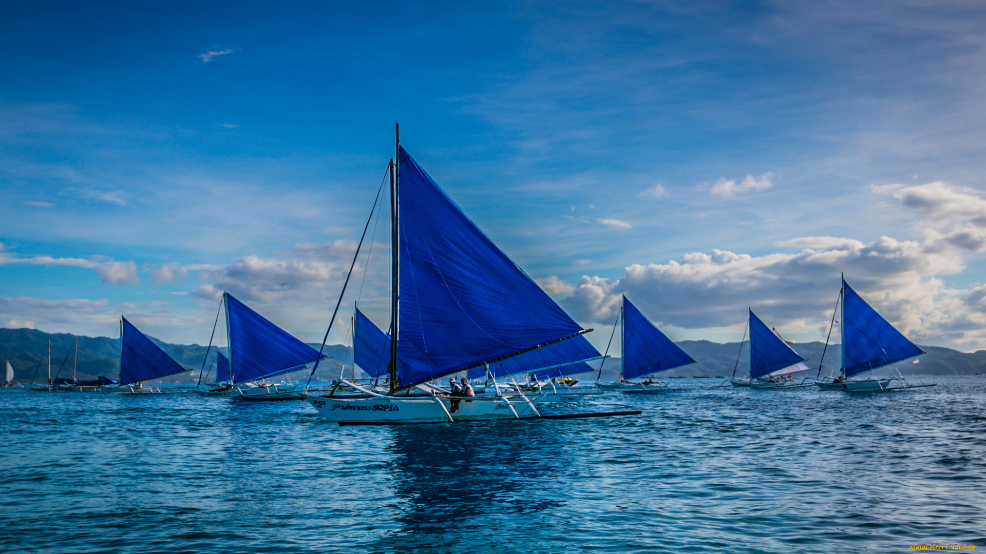 корабли, Яхты, регата