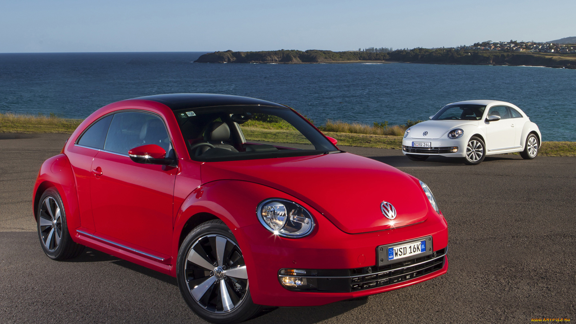 автомобили, volkswagen, au-spec, beetle