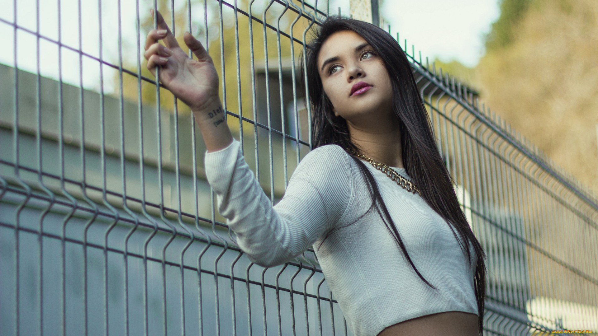 девушки, -unsort, , брюнетки, , шатенки, лицо, взгляд