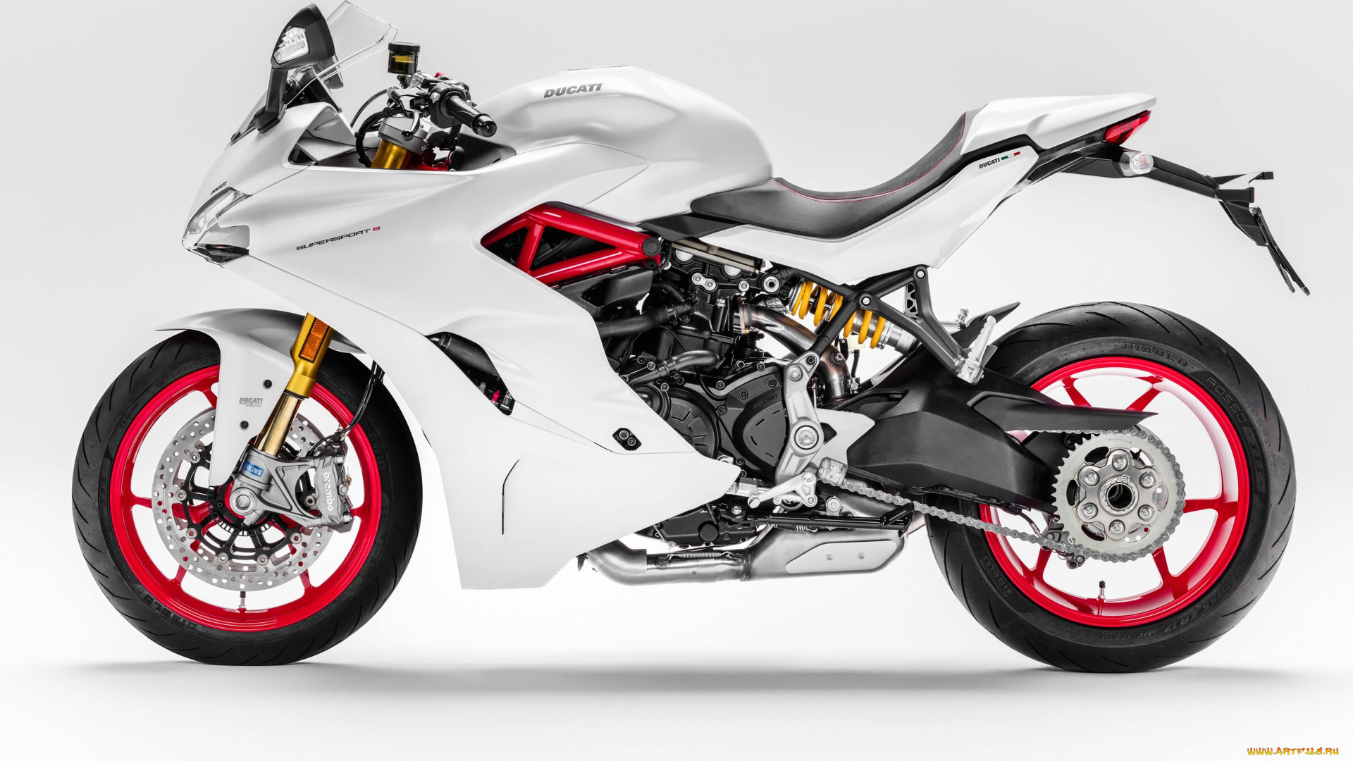 мотоциклы, ducati