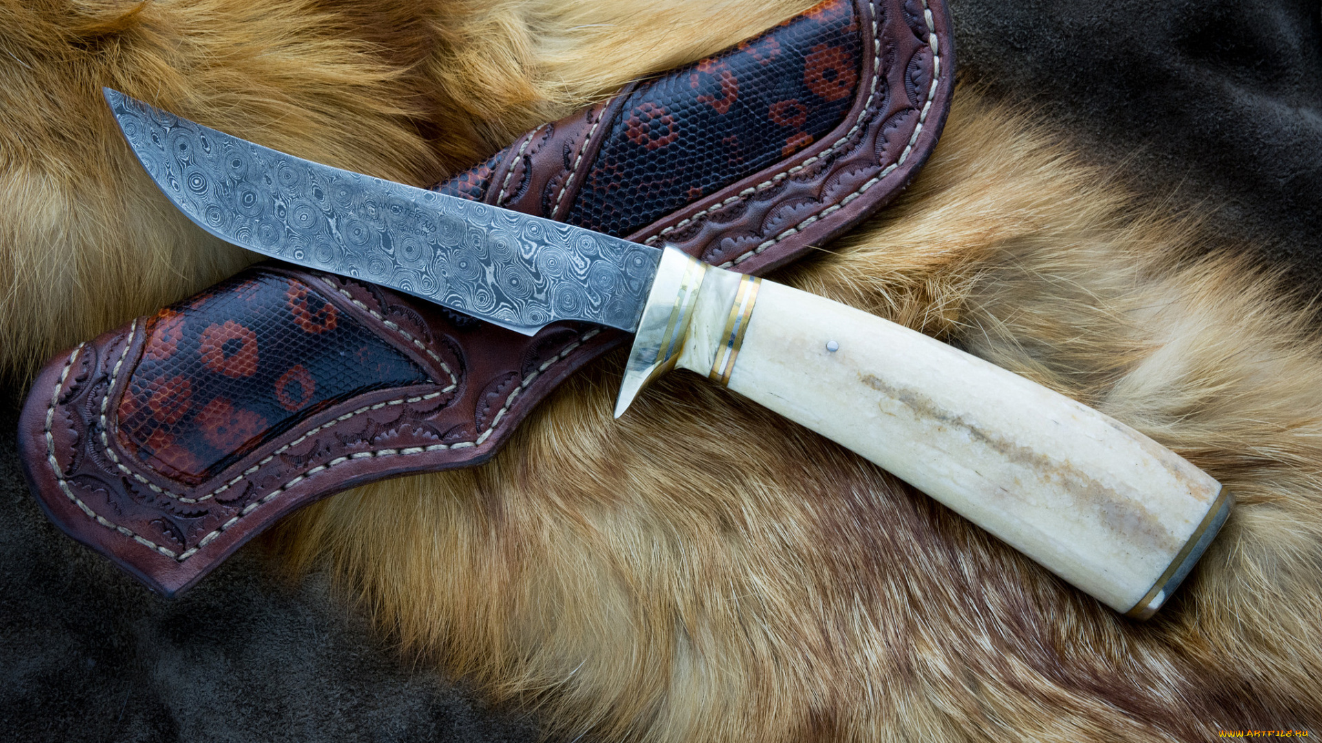 оружие, холодное, оружие, нож