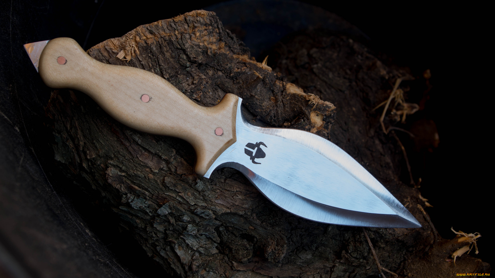 оружие, холодное, оружие, нож