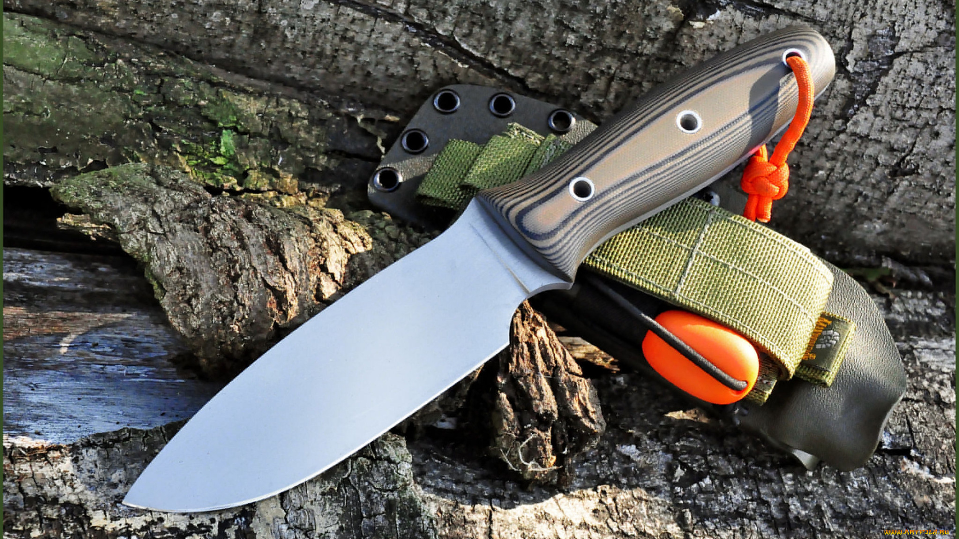 оружие, холодное, оружие, нож