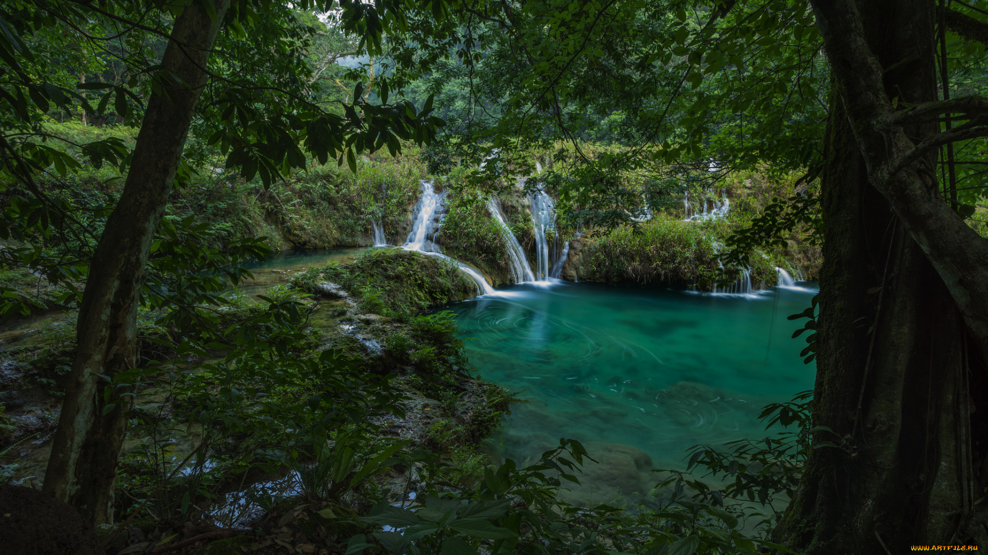 природа, реки, озера, лес, река