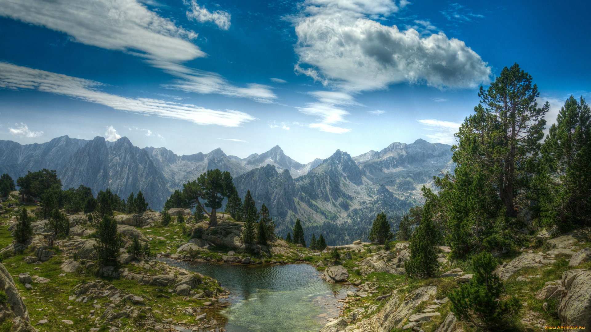 природа, реки, озера, лес, река